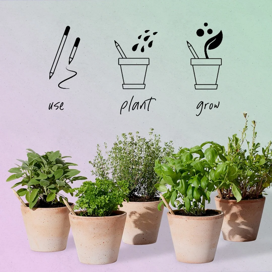 General_use-plant-grow.jpg