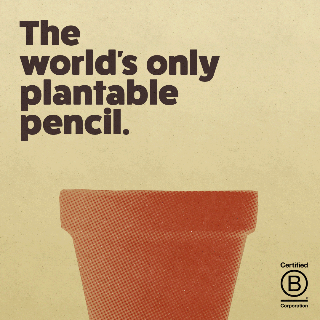 SquareThe-worlds-only-plantable-pencil.gif