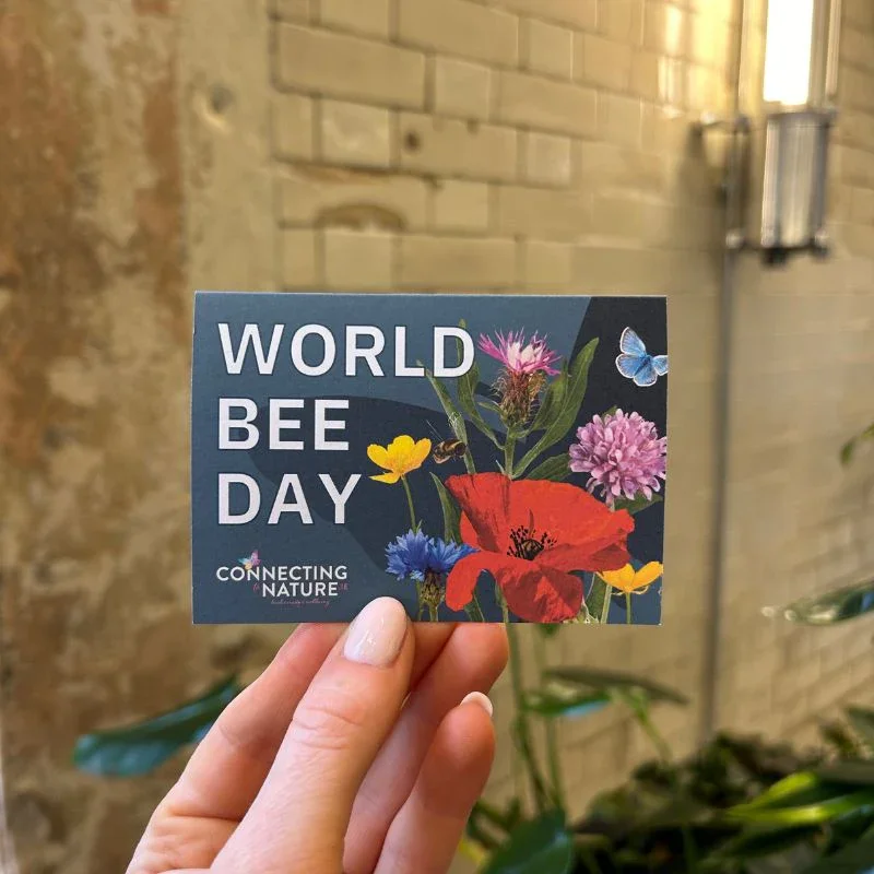 blooming-native-gift-pockets-custom-branded-wildflower-seed-packets-53742304854350.webp