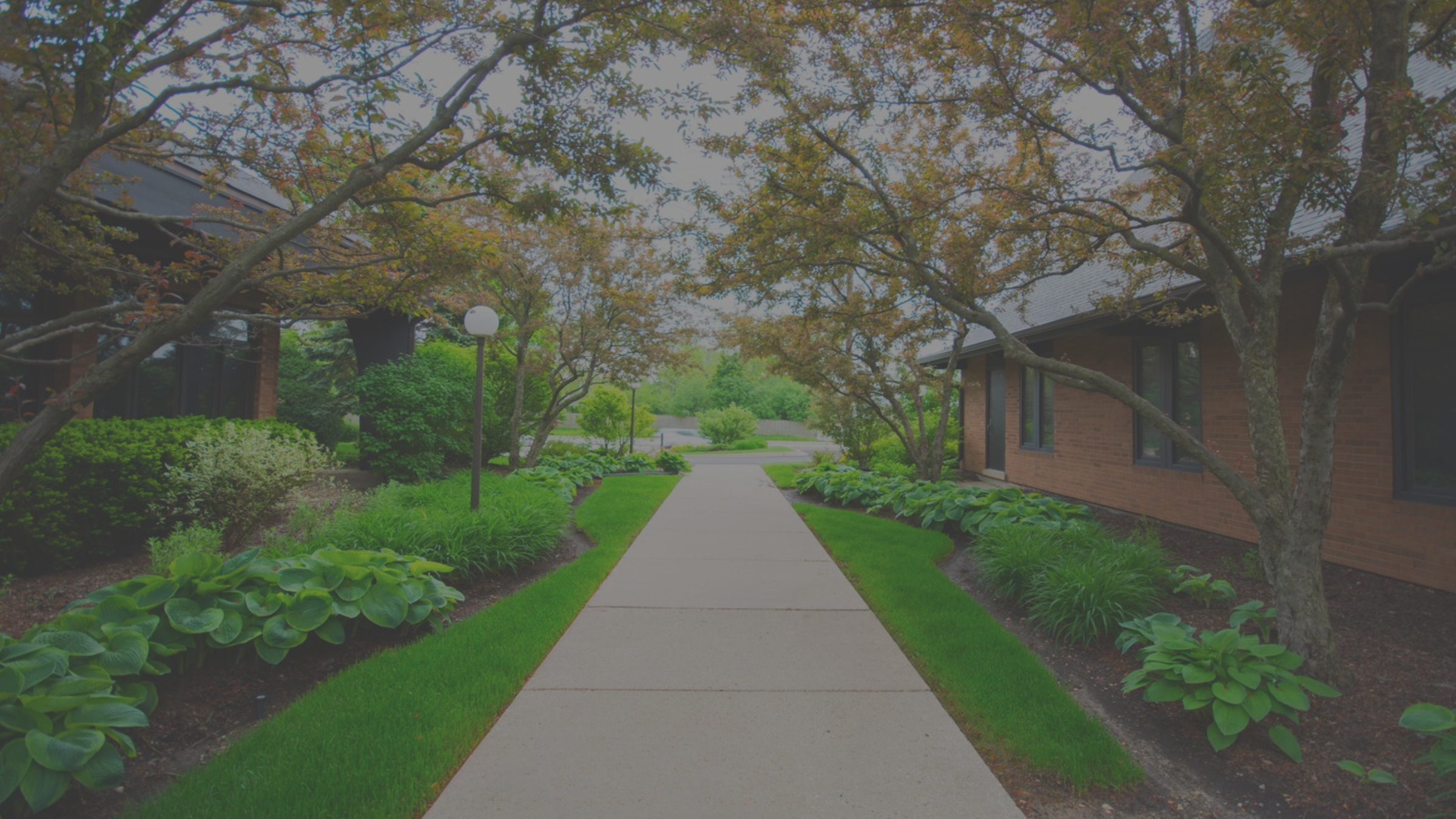 NSub General (1).png