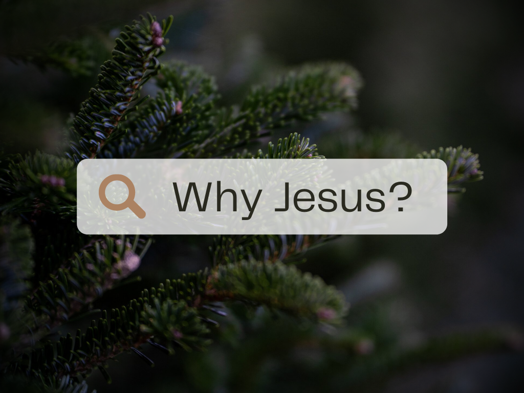 Advent 2021: Why Jesus?