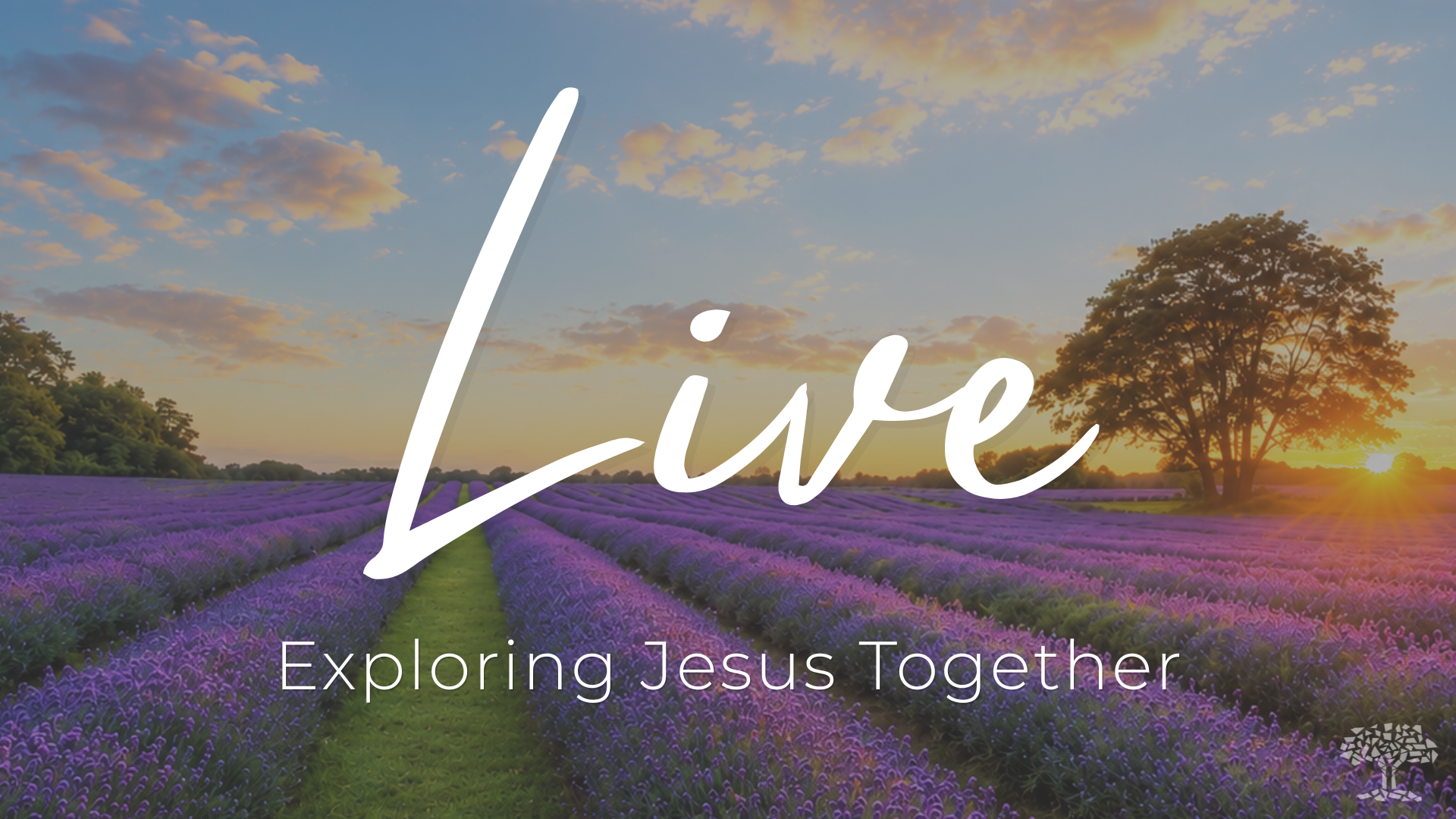 Women's Summer Bible Study