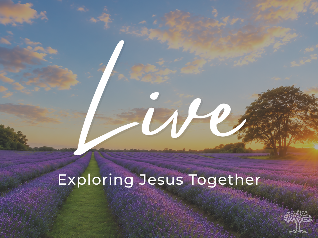 Women's Summer Gathering
