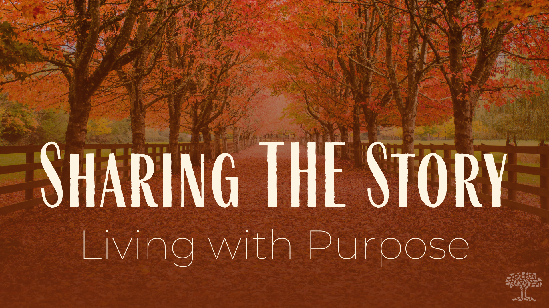 Women's Retreat