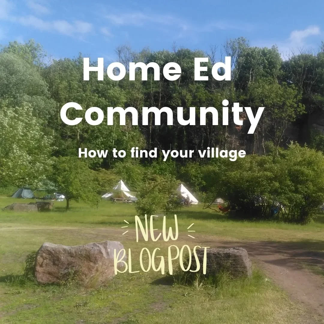 New blog drop! It takes a village to raise a child...but where's the village? This blog gives you some tips and tricks for finding your own community. 

What are your thoughts on home ed community? What have you found works for your family?

#homeedd