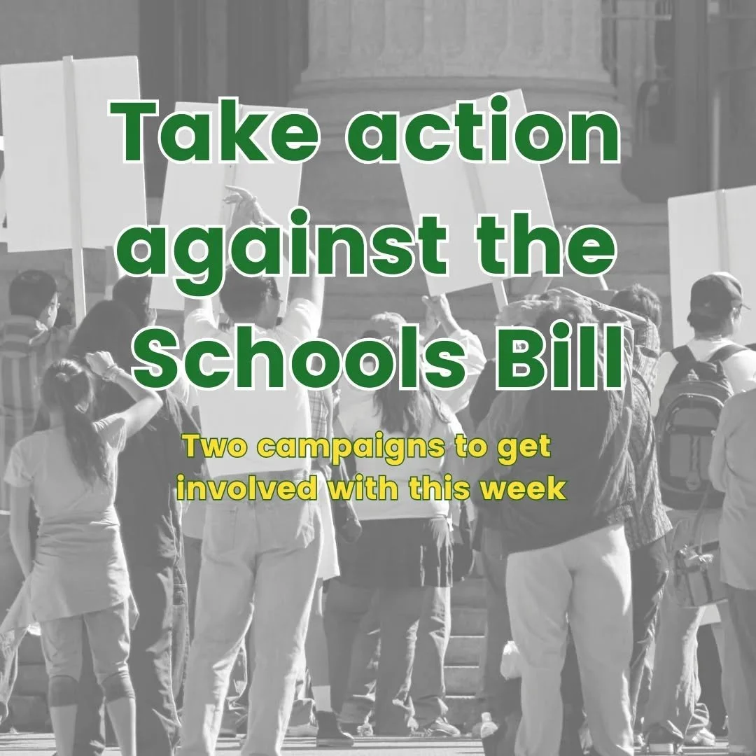 In my newsletter I told you about two campaigns you can get involved with to fight the schools bill. If you don't know why it's bad, have a look at my highlight. 

Today is the day for the second of those campaigns - its all about emailing MPs. For m