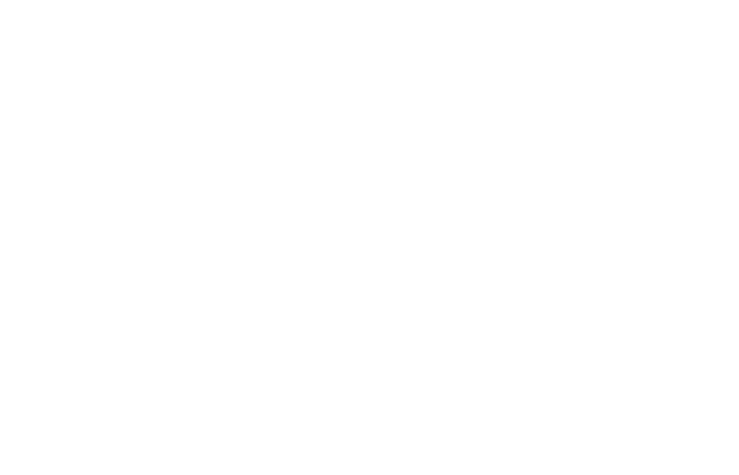 Derek W Black