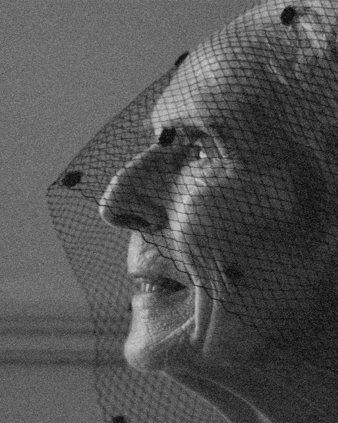 Rós Sansana cos Muir Éireann, An English Rose by the Irish Sea