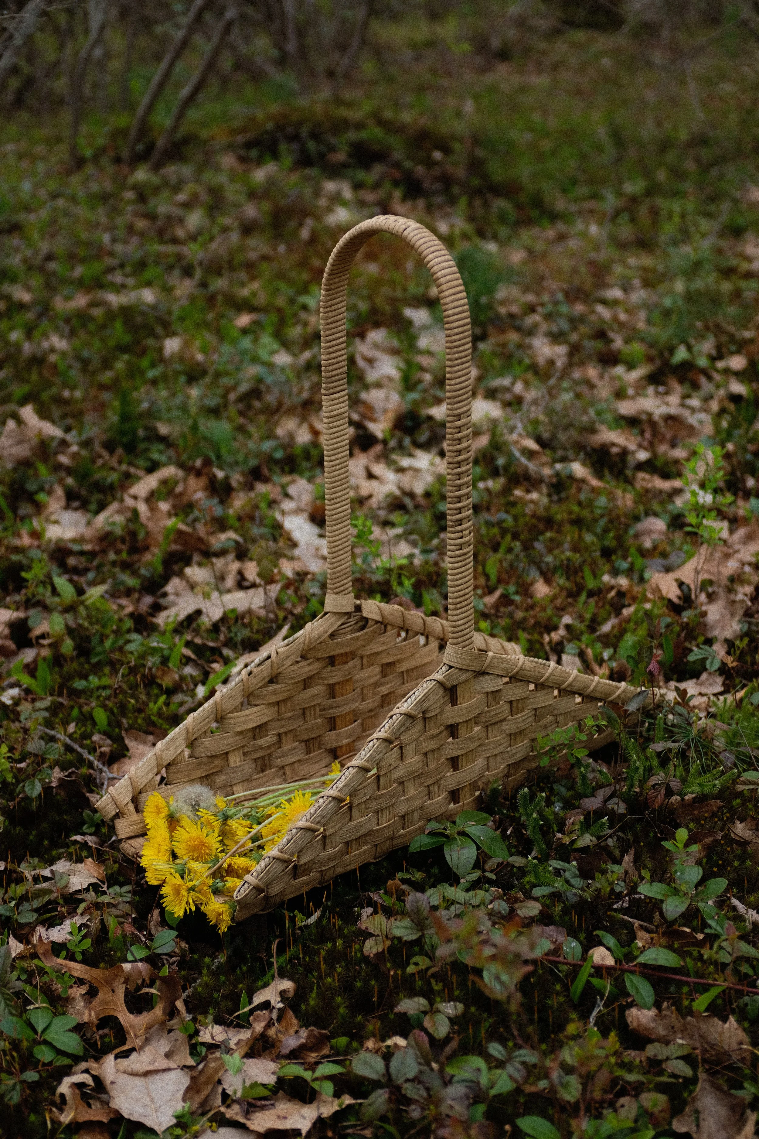 Basket_May_Mass-2.jpg