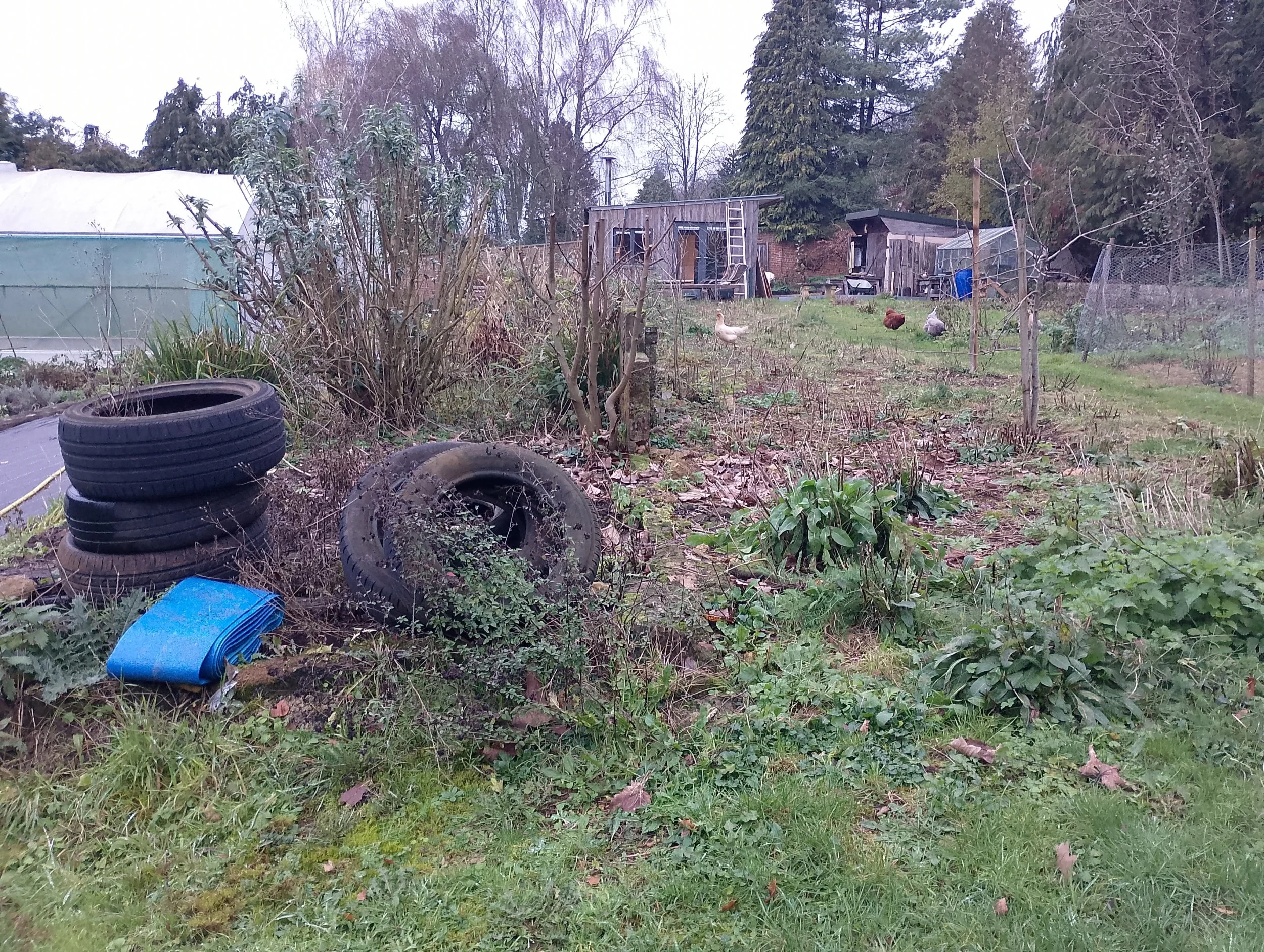 Some pictures for you