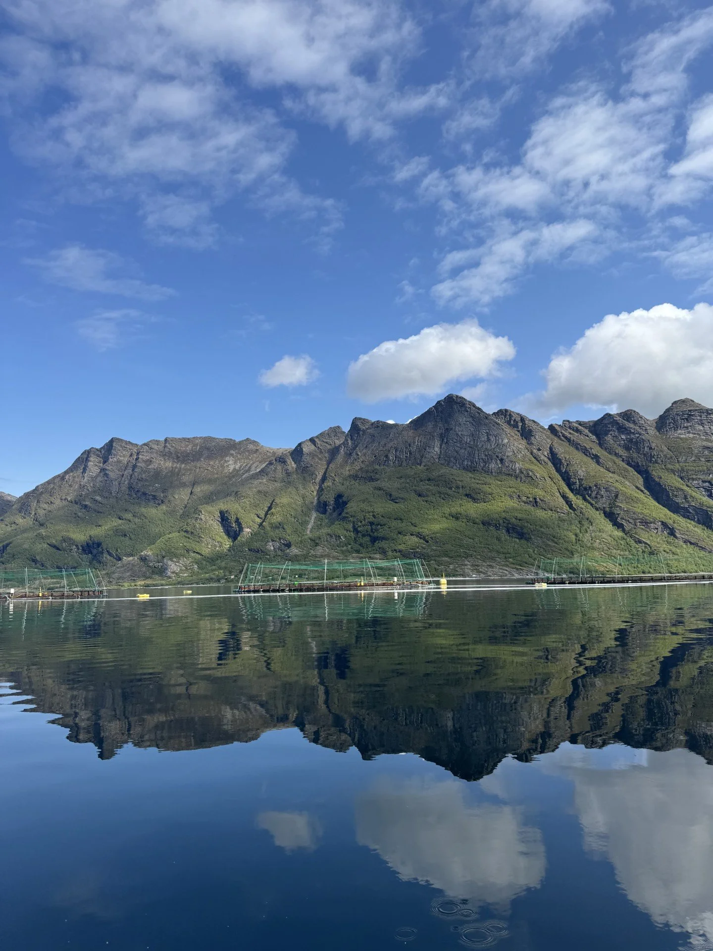 Et innholdsrikt 2025