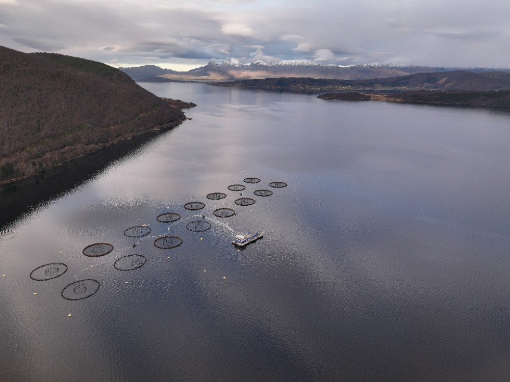 Starter året med infomøter hos Wenberg Fiskeoppdrett og Edelfarm