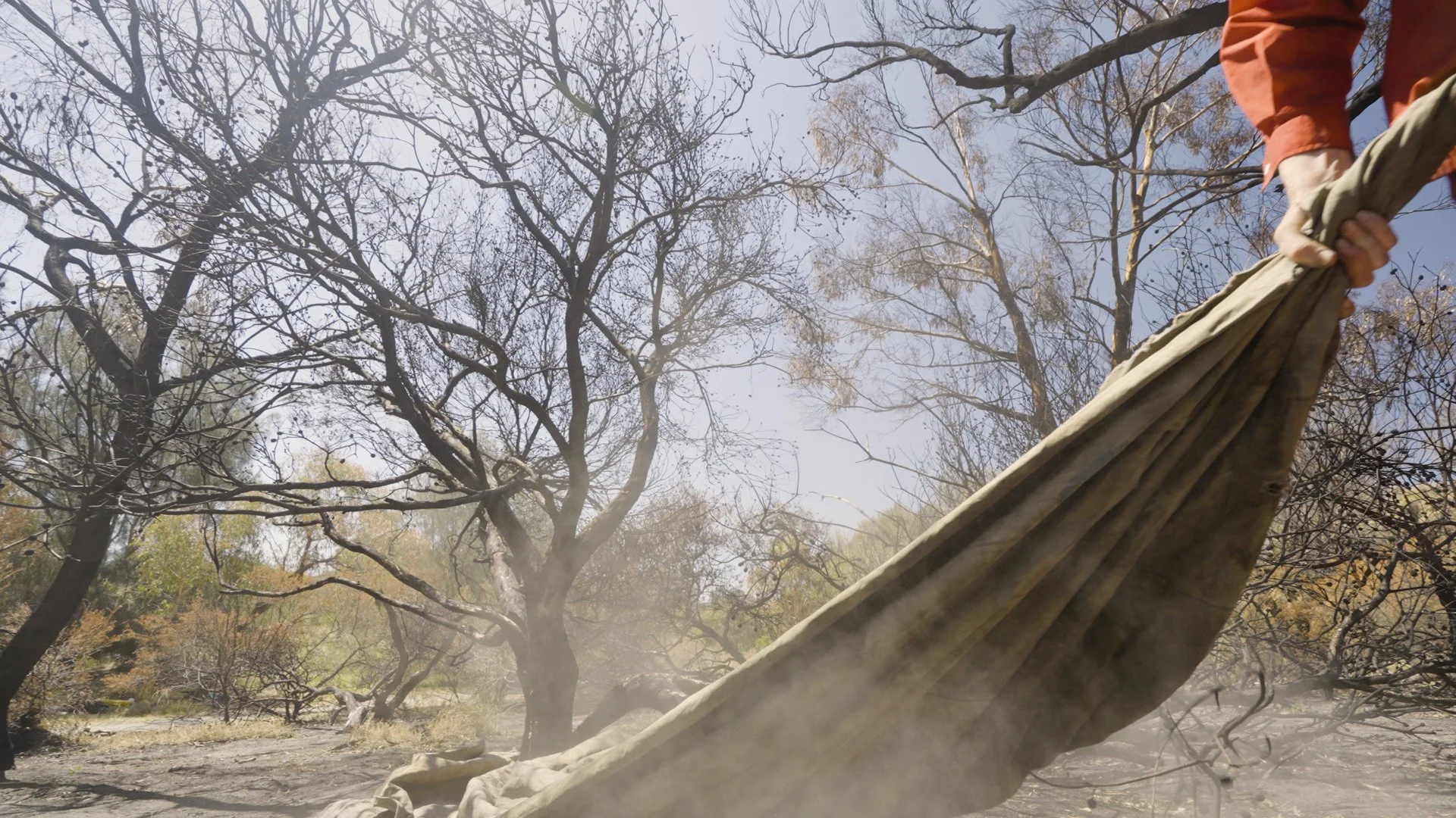 TIOA_still_10.jpg