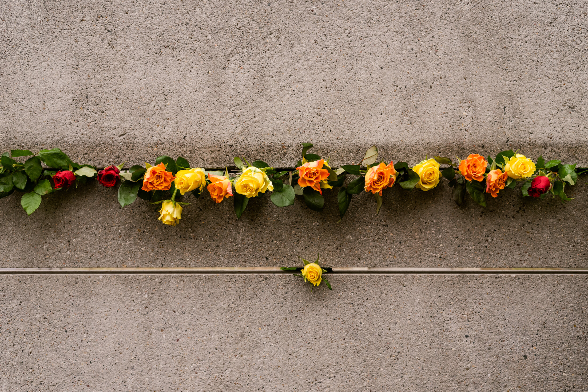  Flowers on the wall, honouring those who lost their lives. 