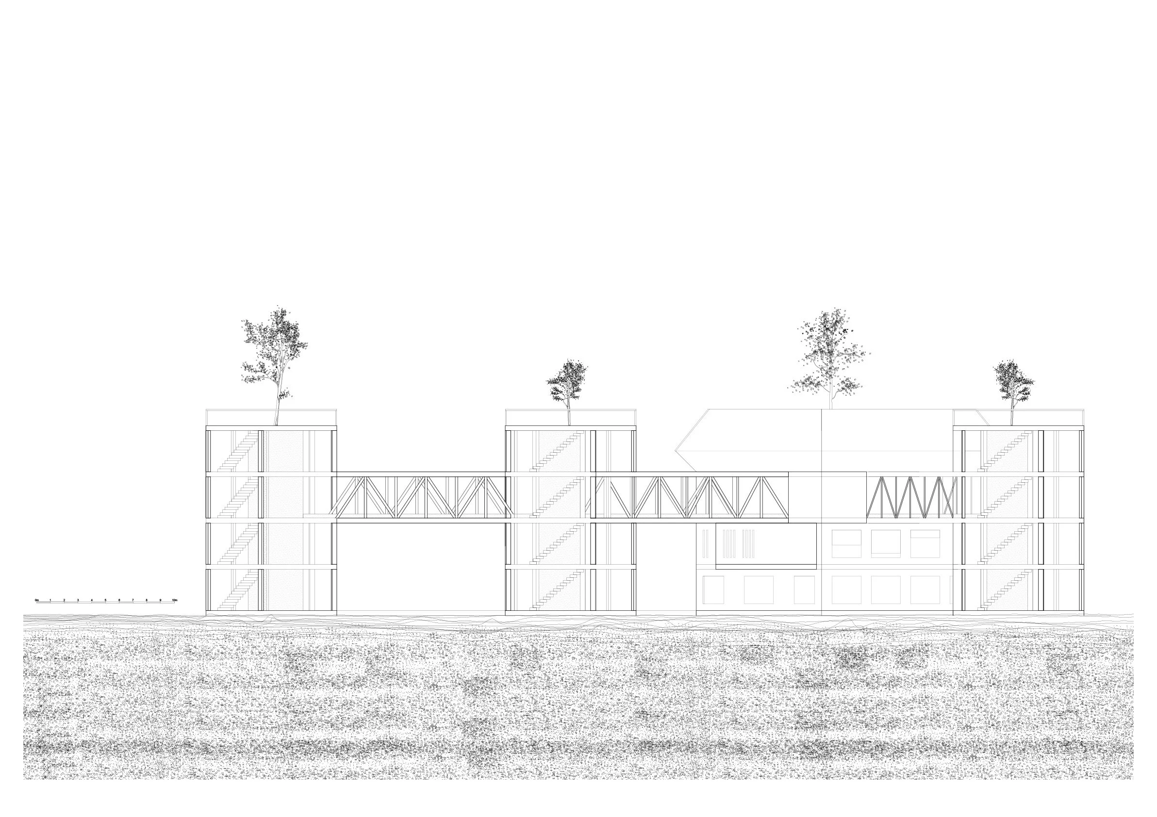 Elevation