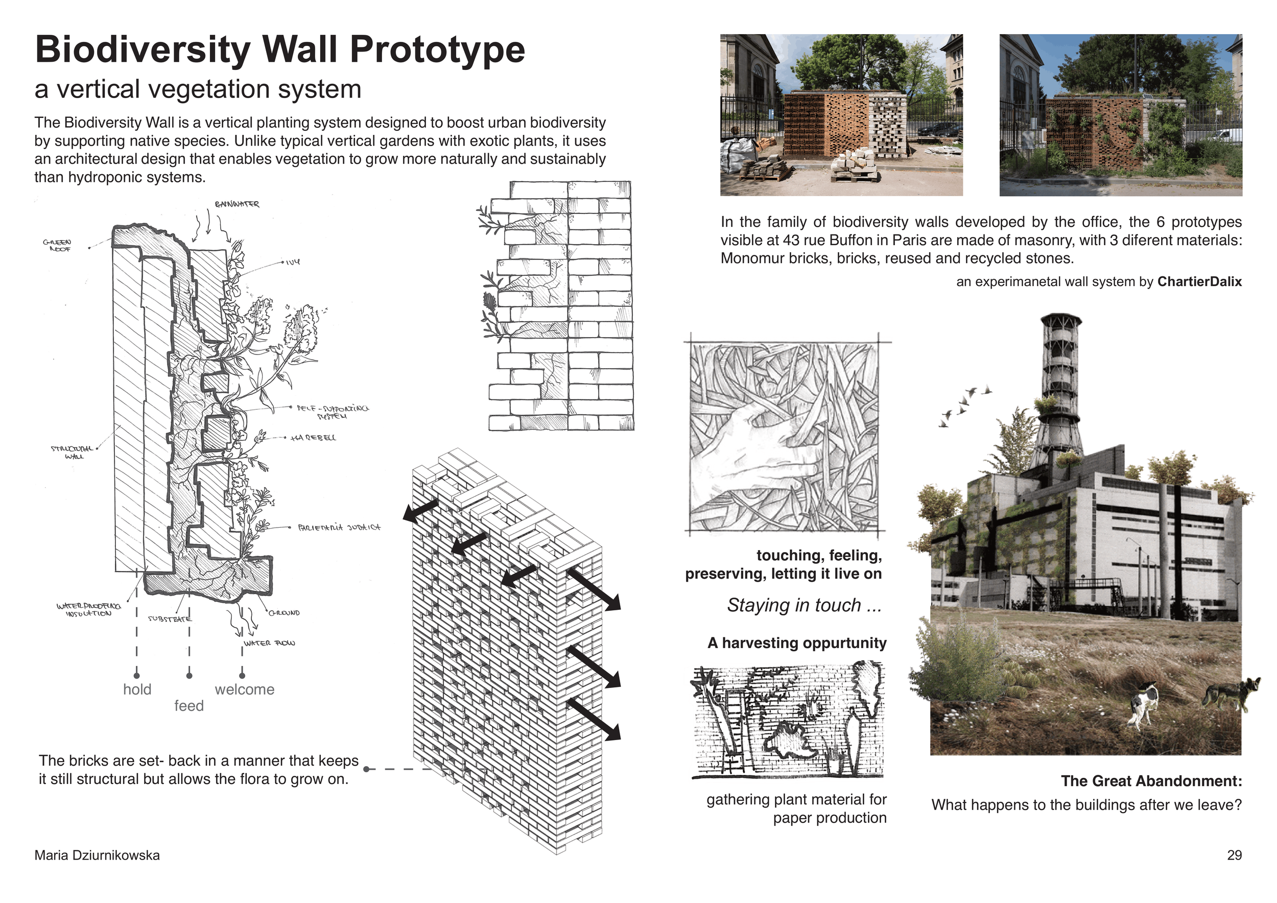 Biodiversity Wall Prototype - Research