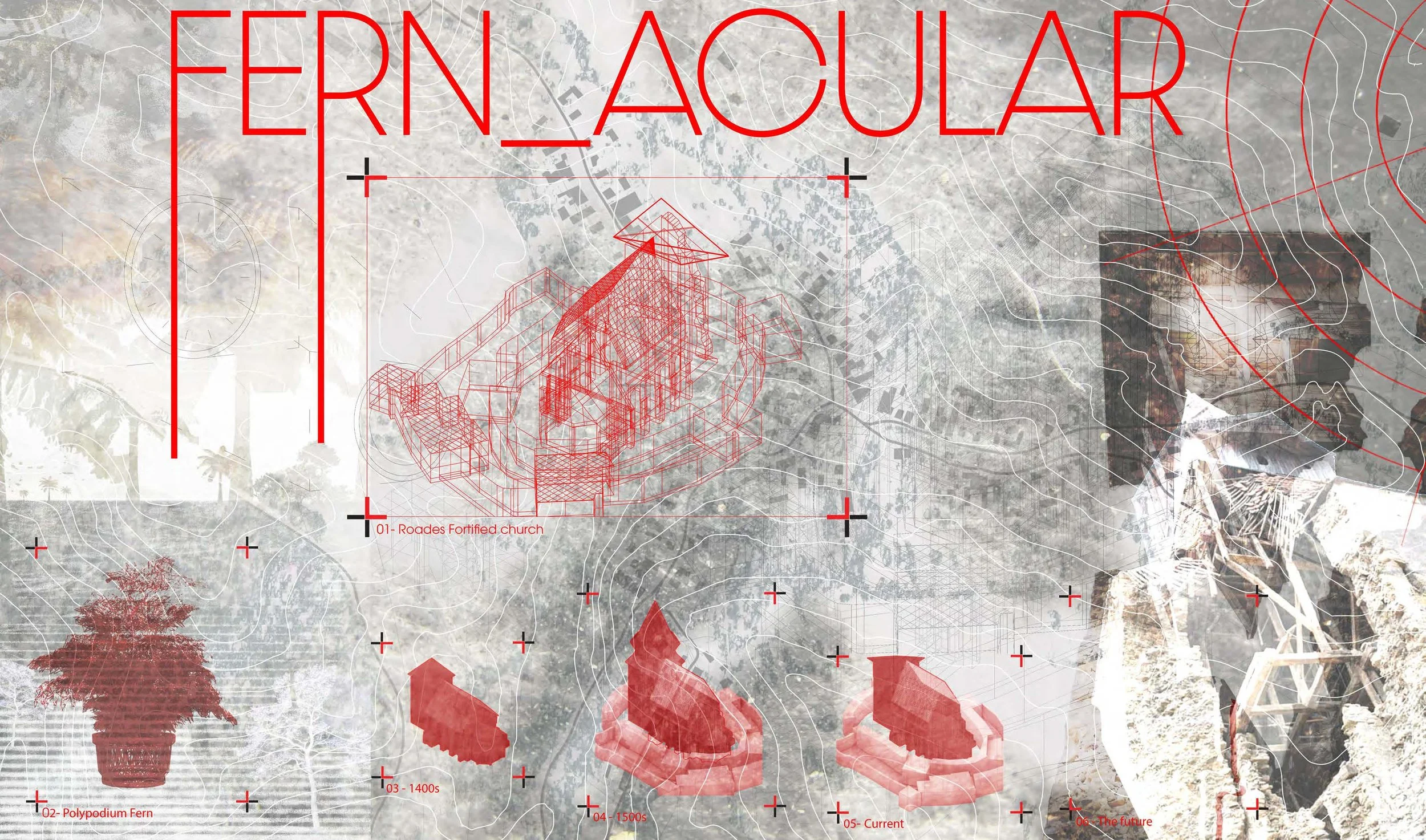 Fernacular the concept 