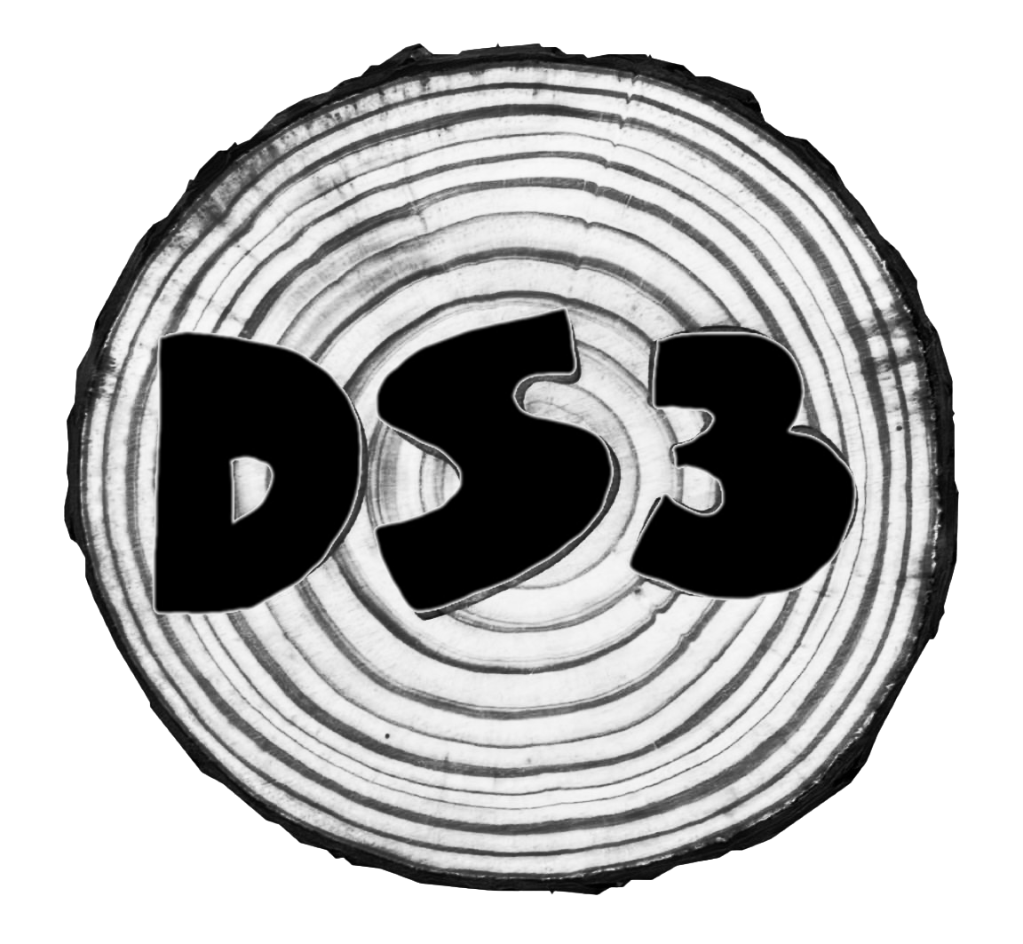 DS03