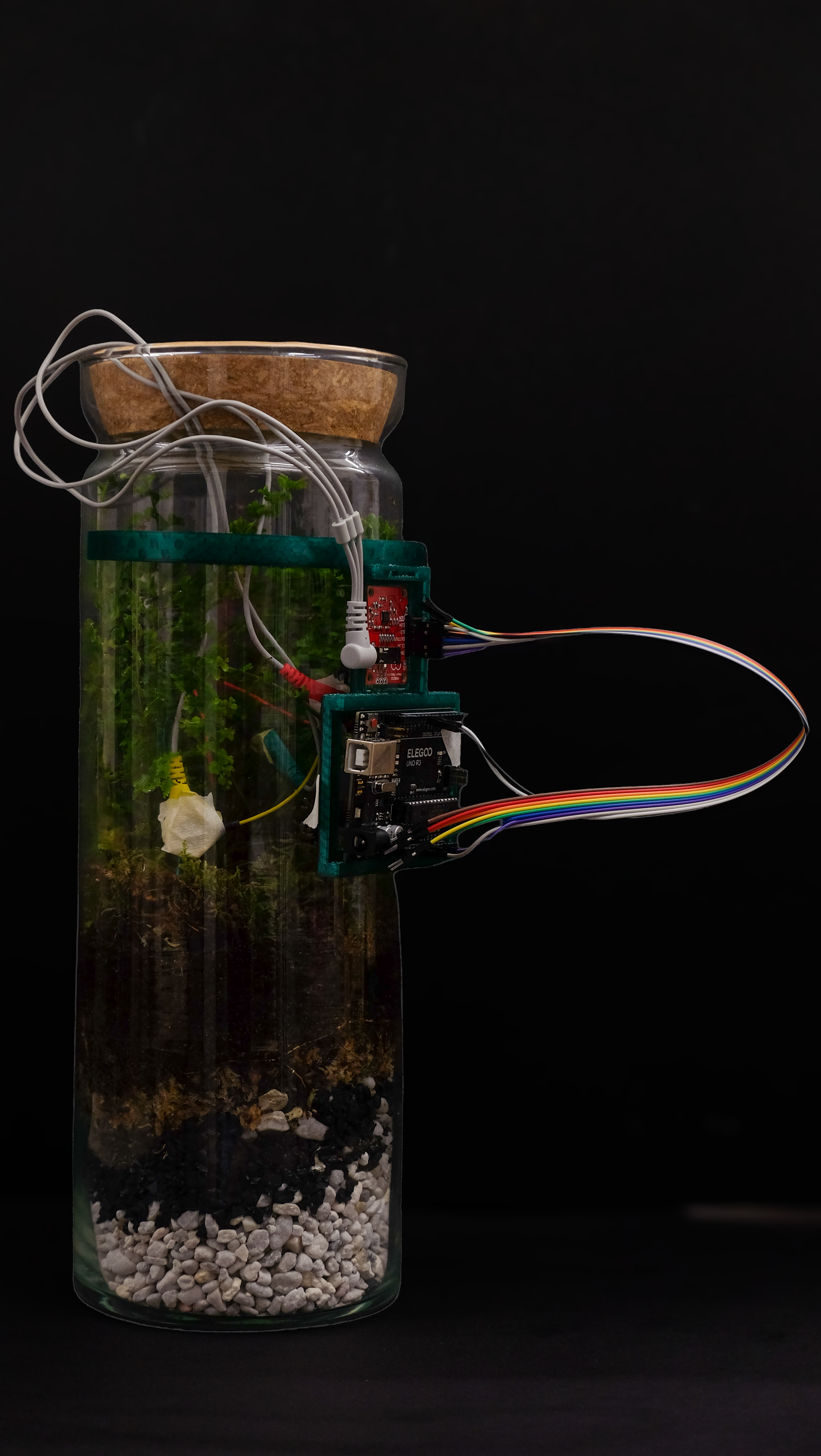 The terrarium which makes music live