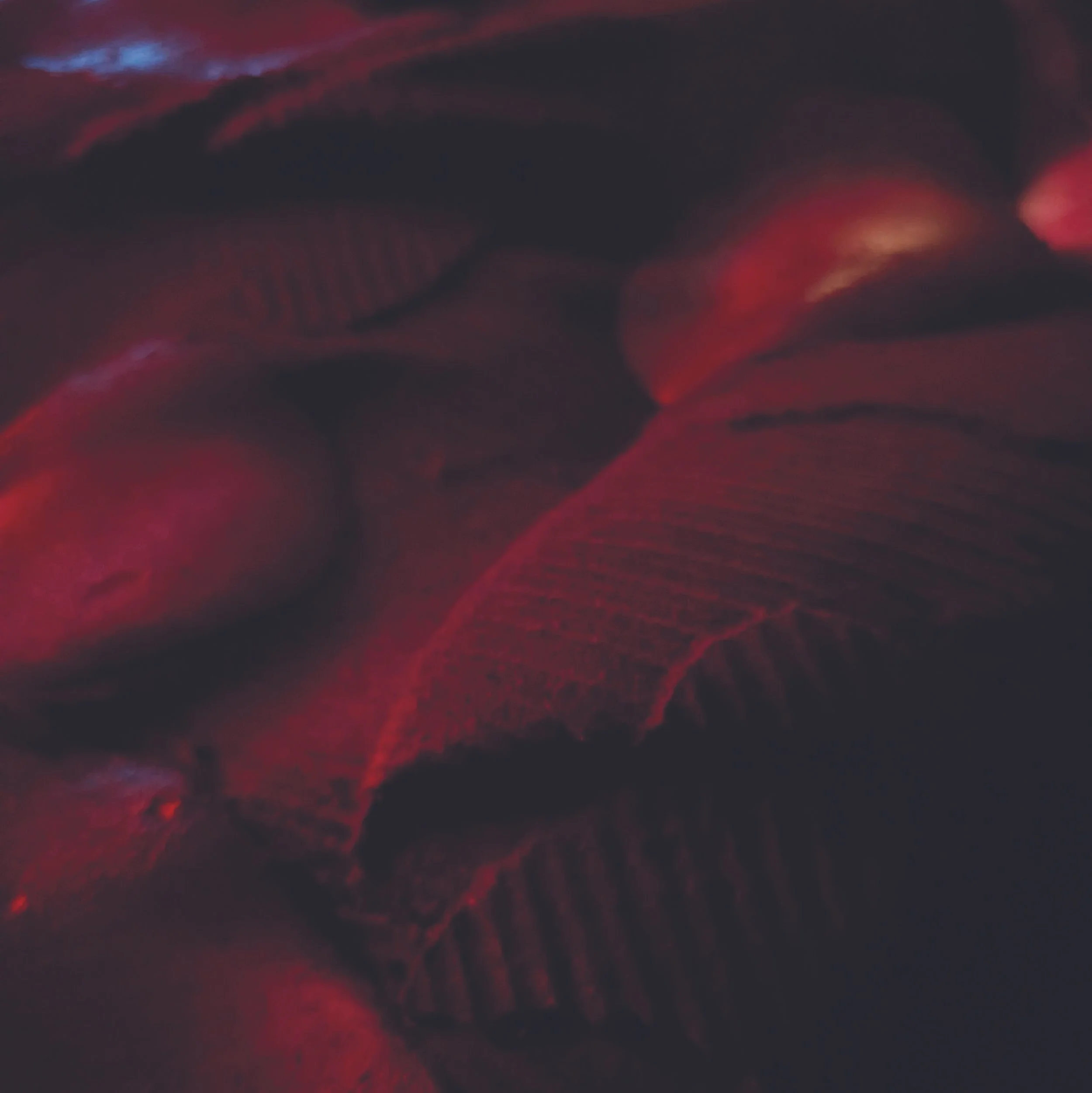 Final Image 1