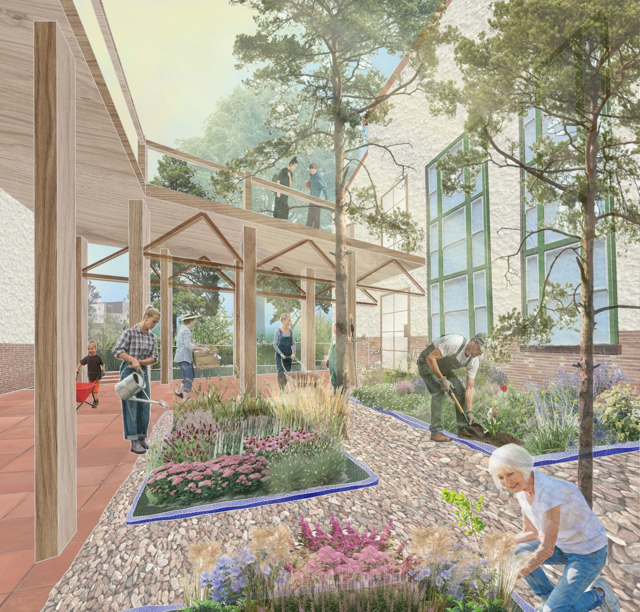 The Healing Garden