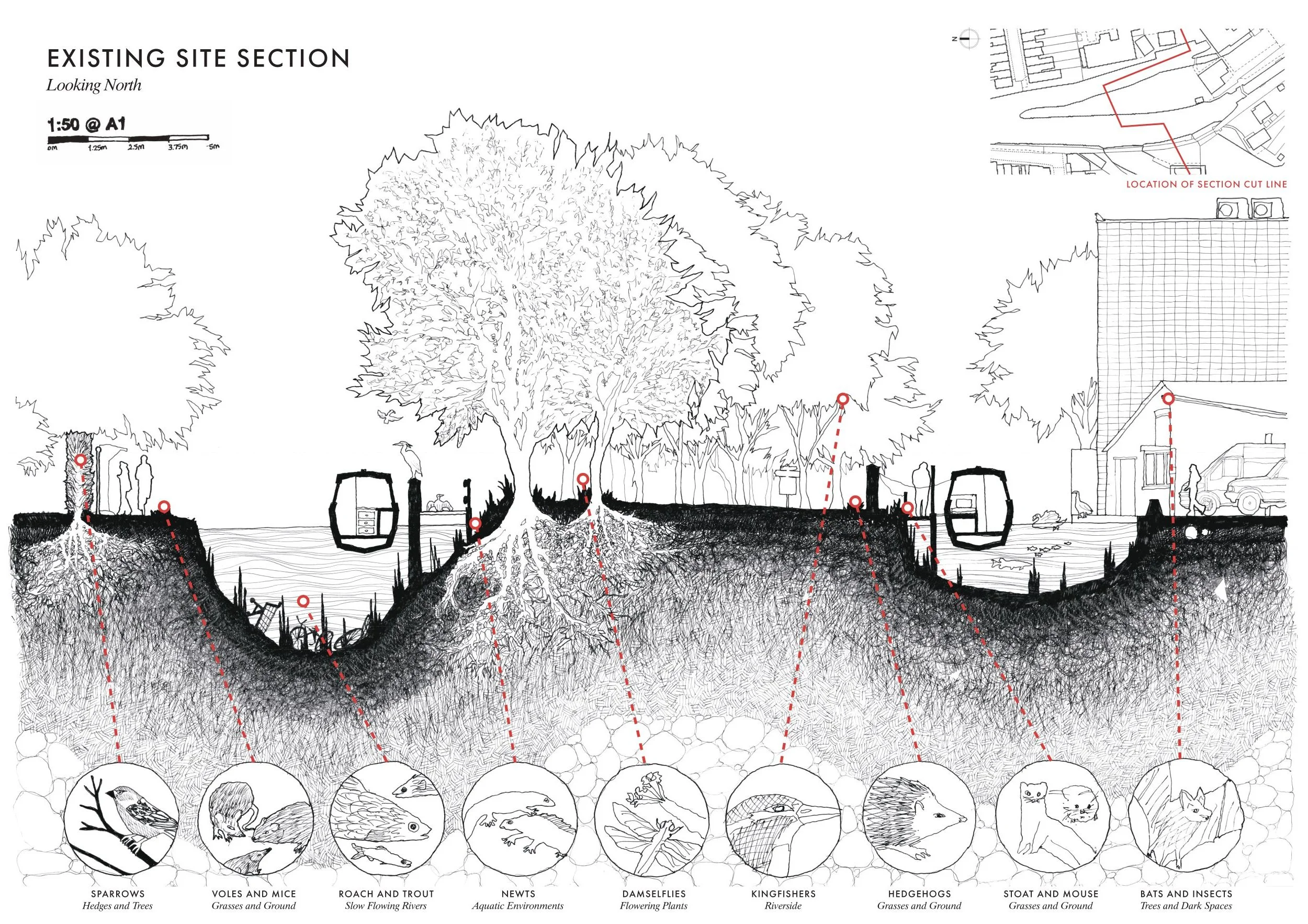 Existing Site Section