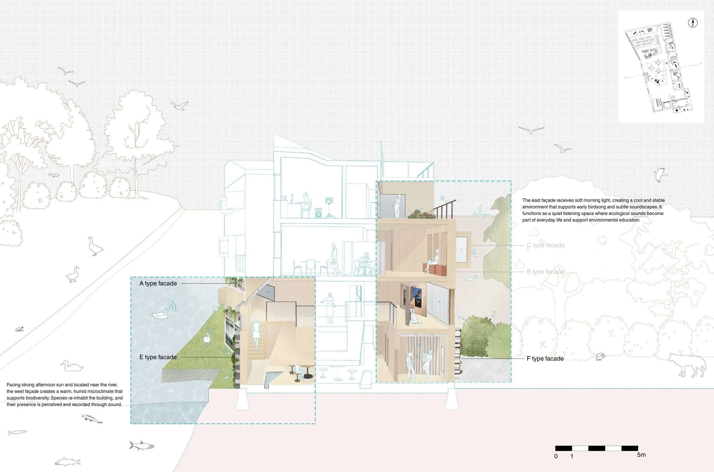 Project 2 - BB section 