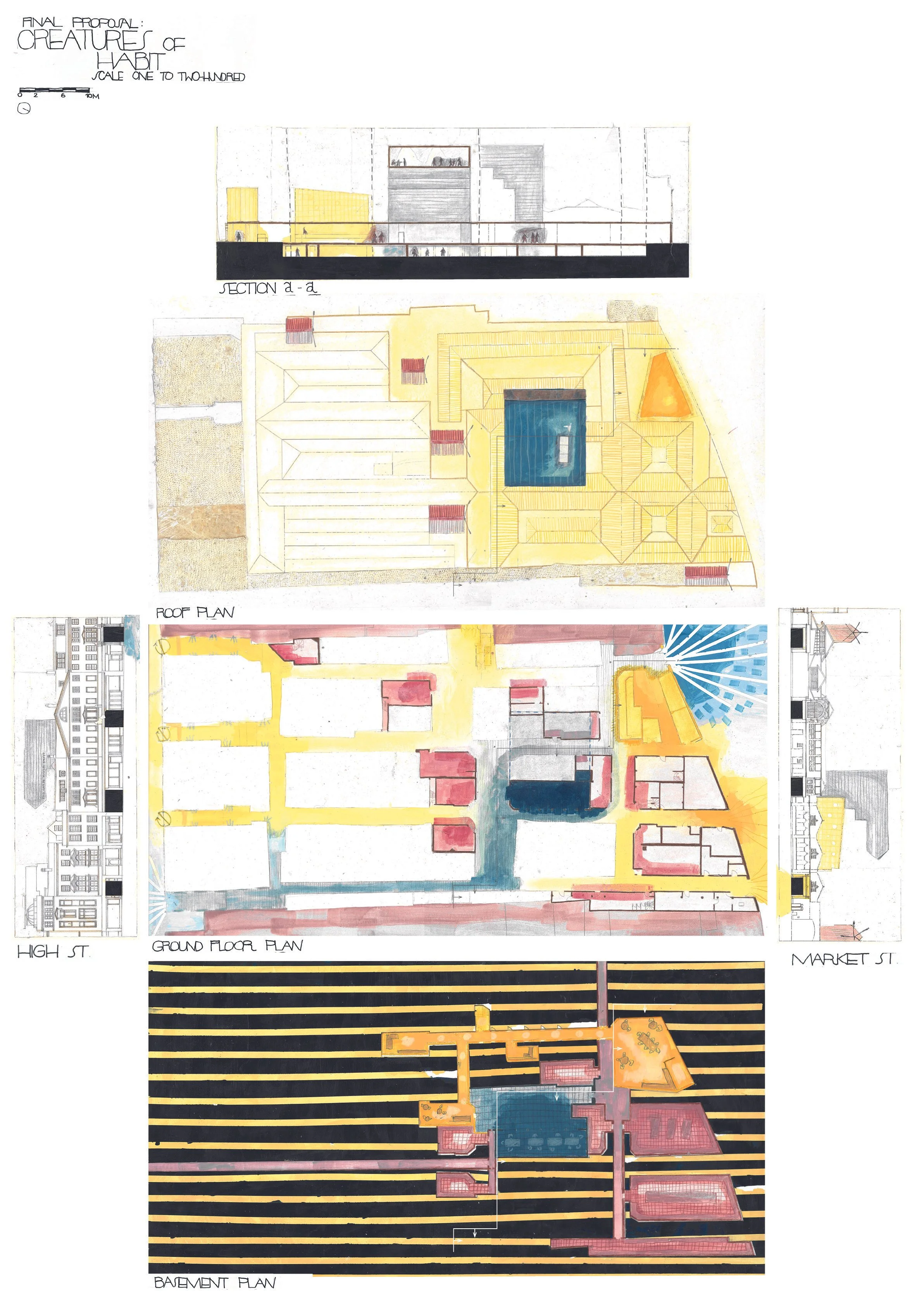 Creatures of Habit Final Drawings