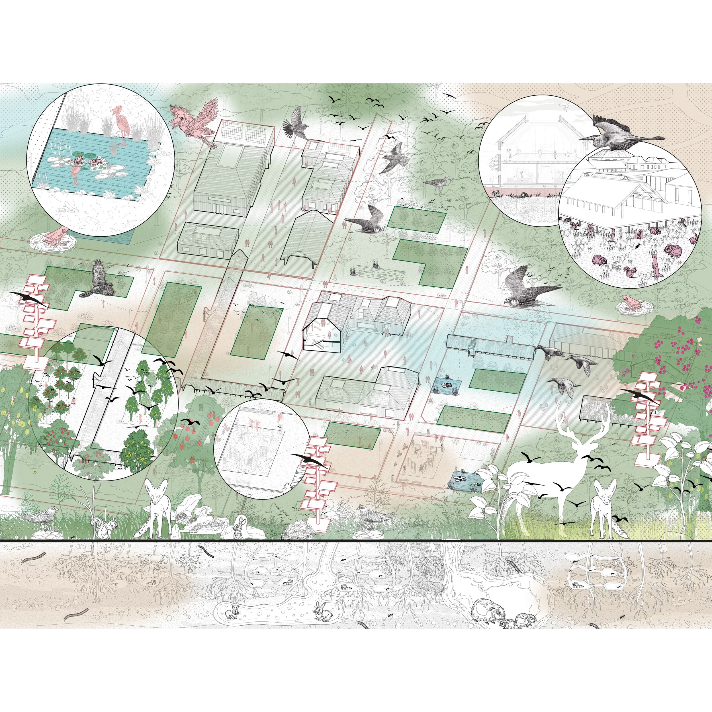 Biodiversity Design 