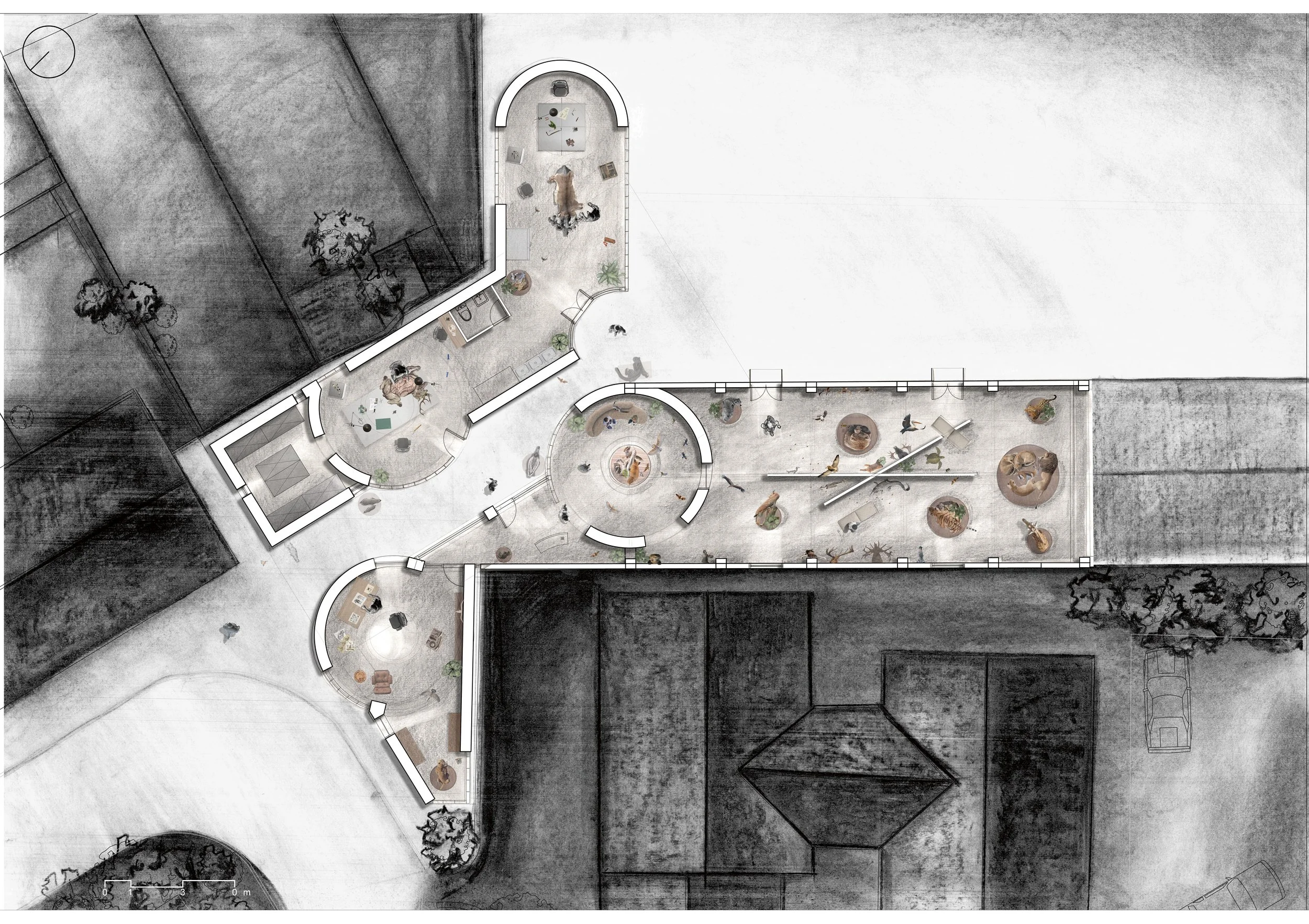 Taxidermy studio plan