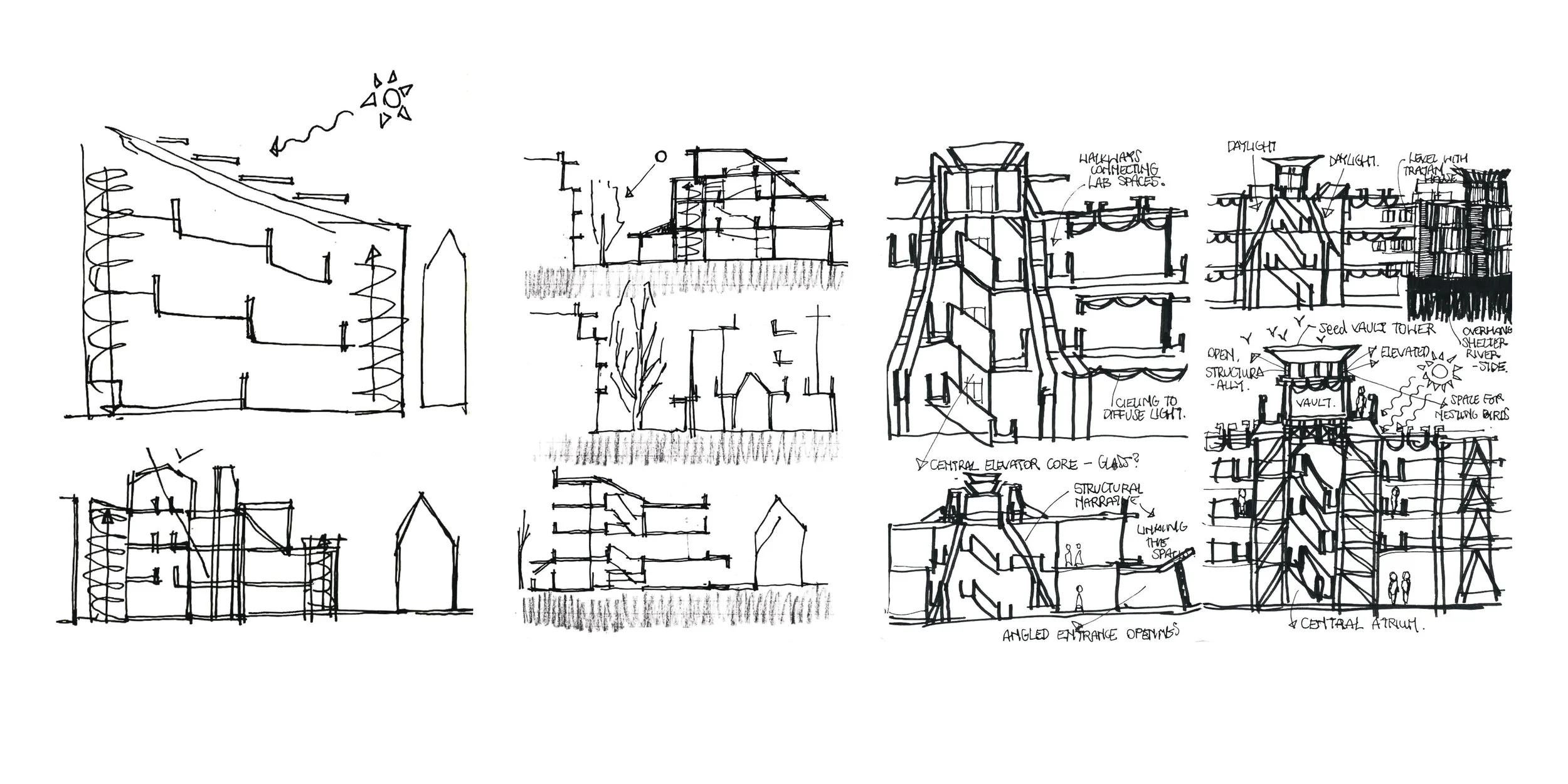 Conceptual Sectional Sketches