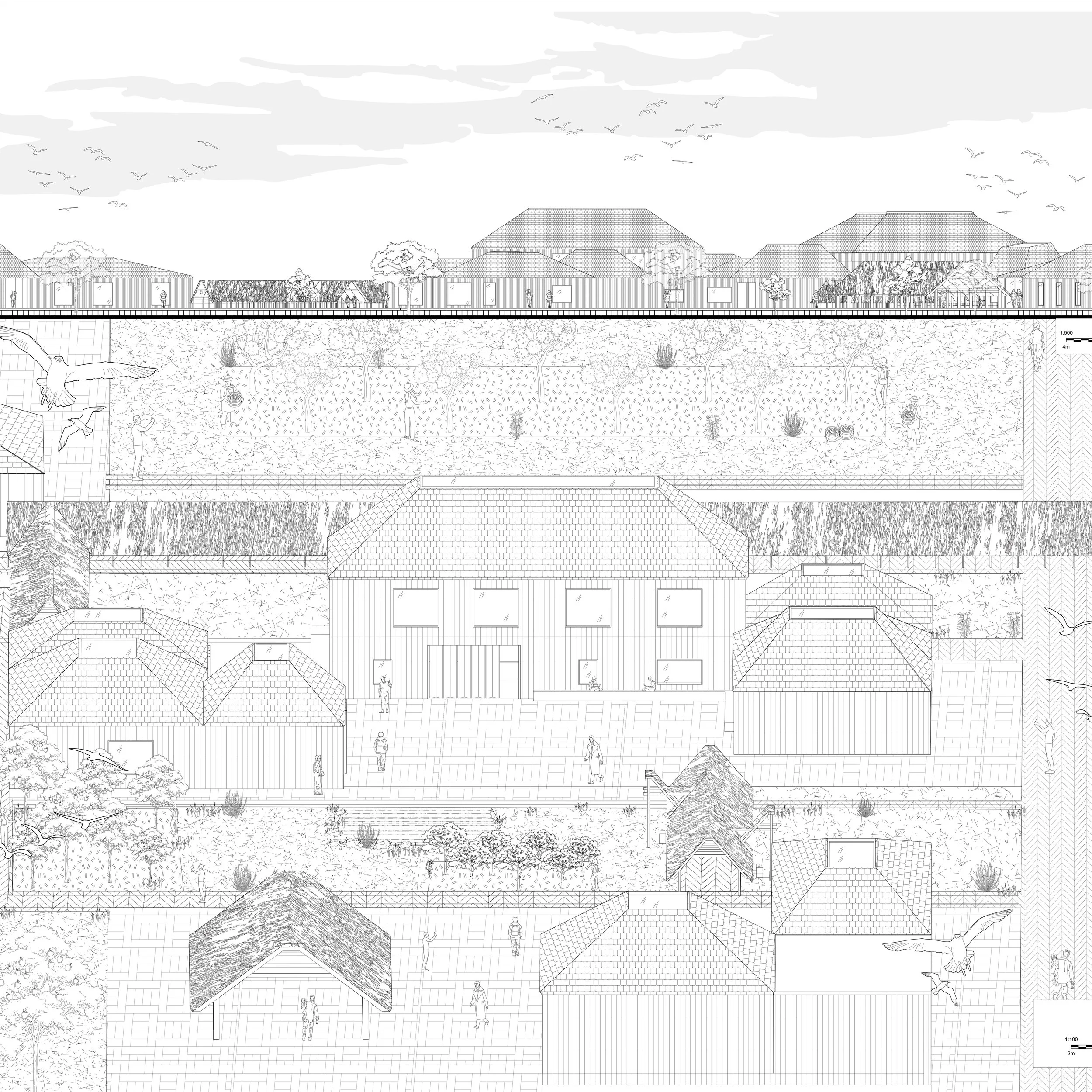 Elevation