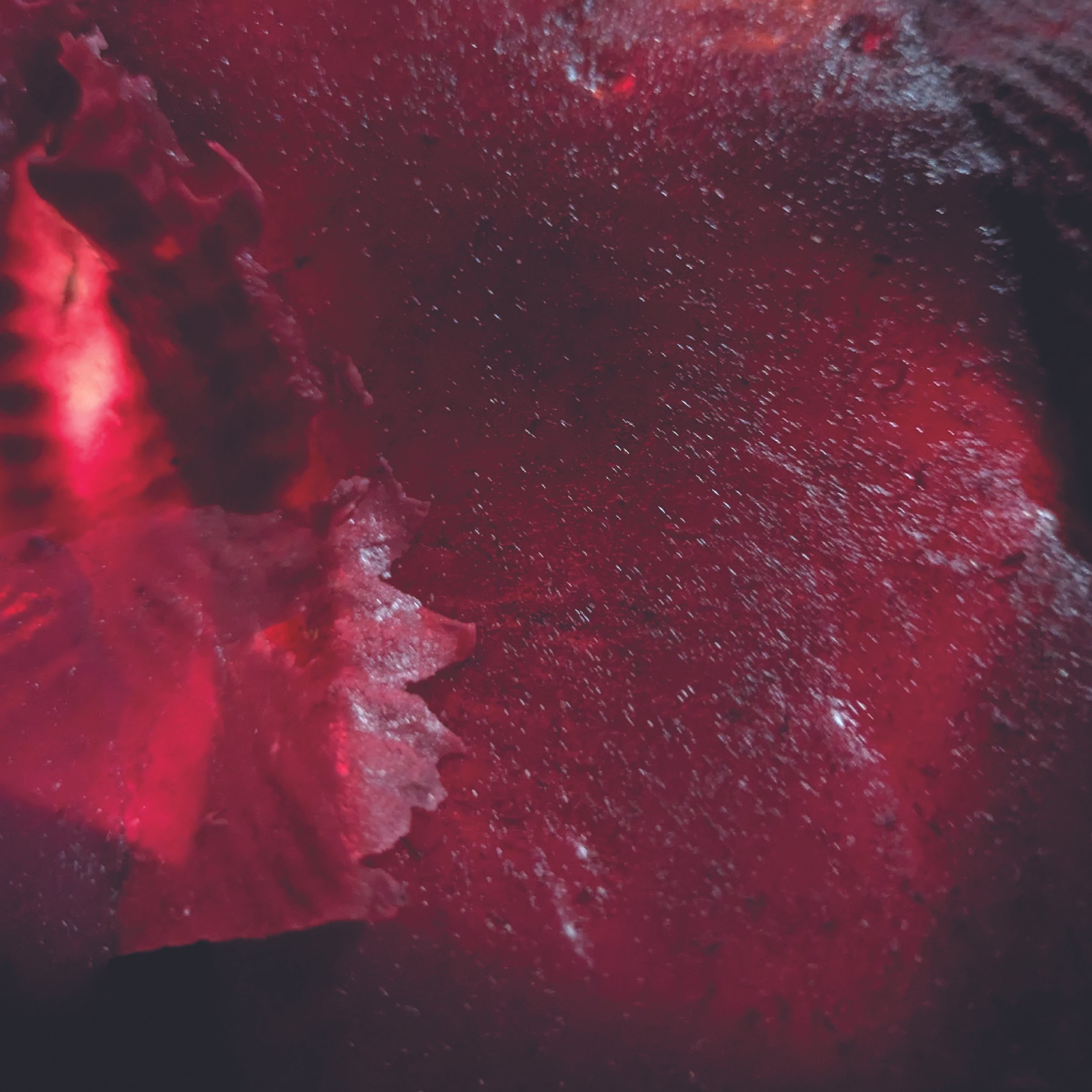 Final Image 3