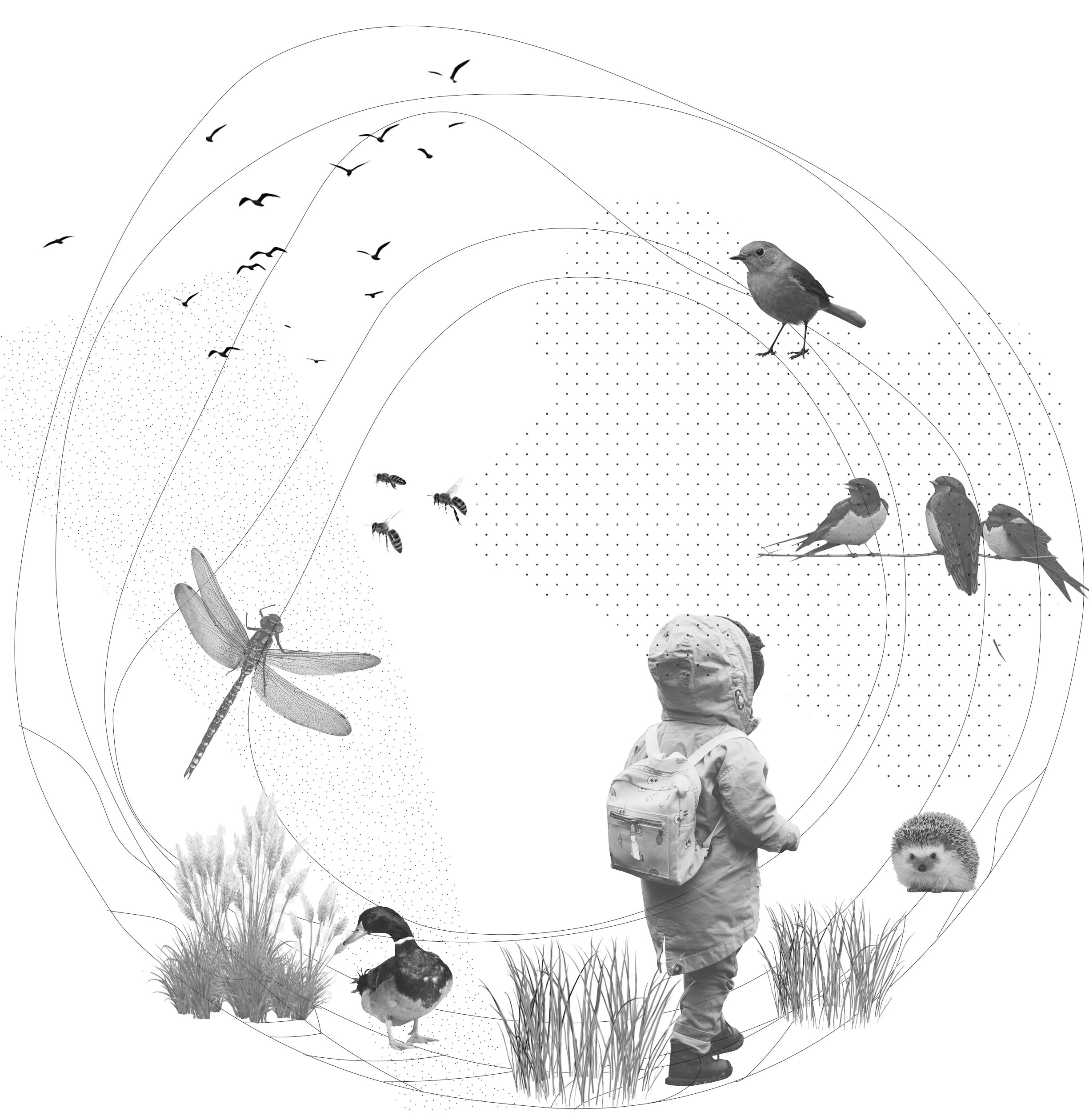 Co exist - user anmal circle 