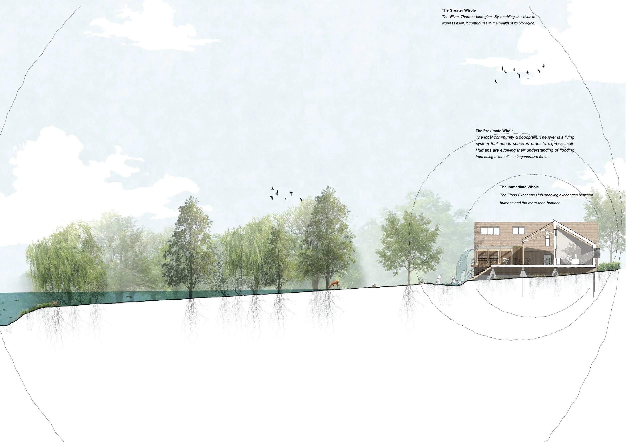 The Hub within its immediate, proximate and greater wholes