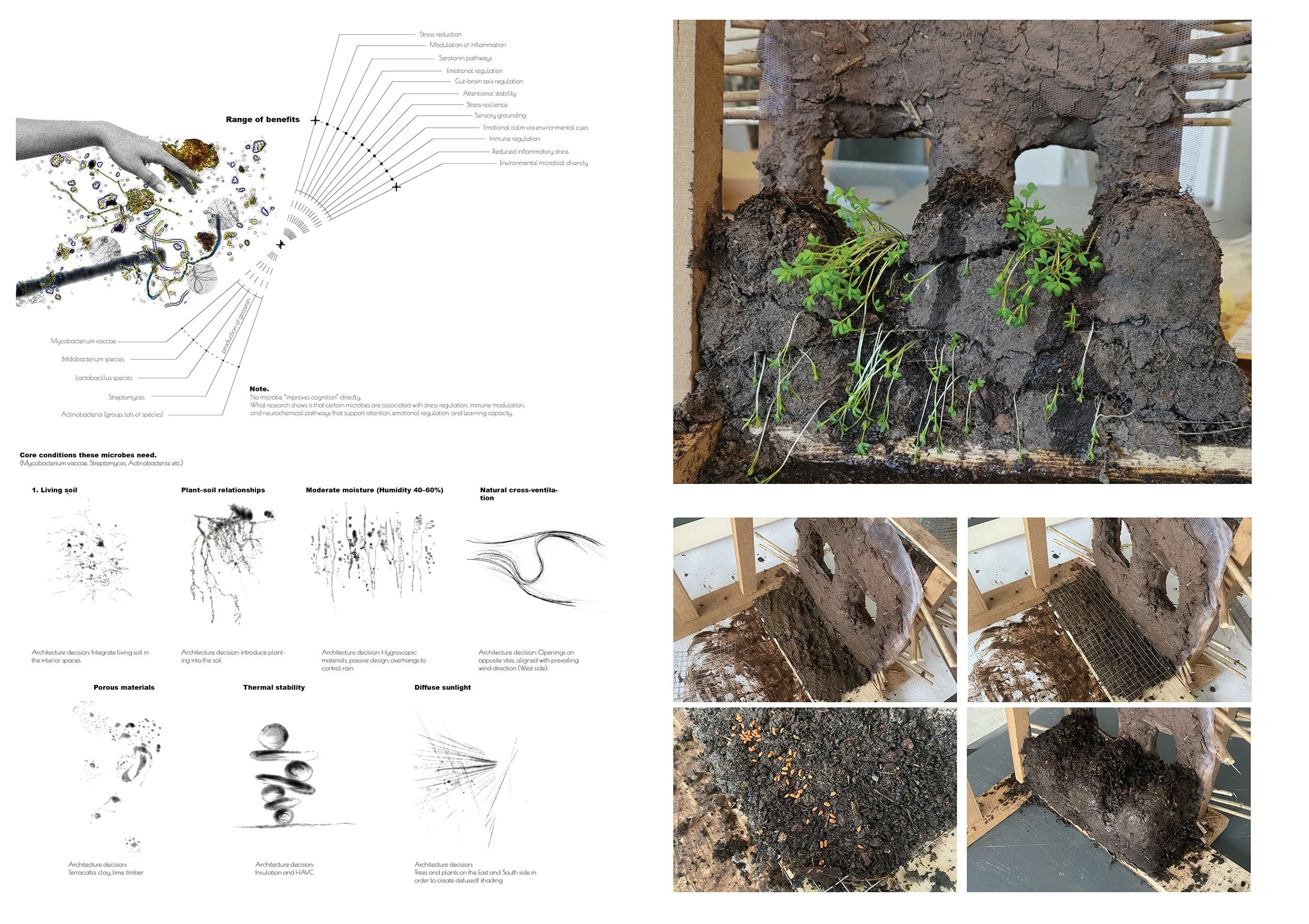 Design with Microbial Life