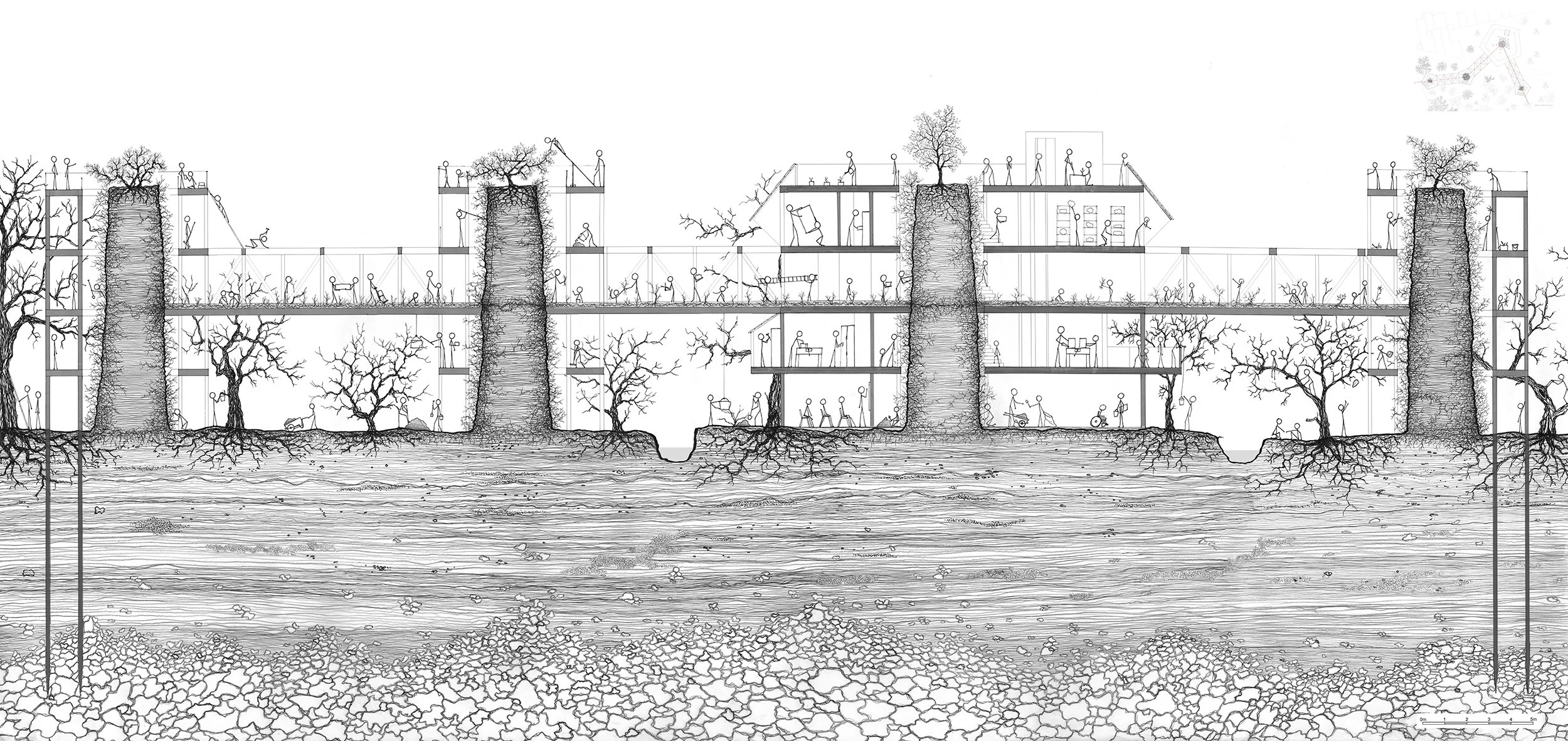 Mycelium Towers Section AA