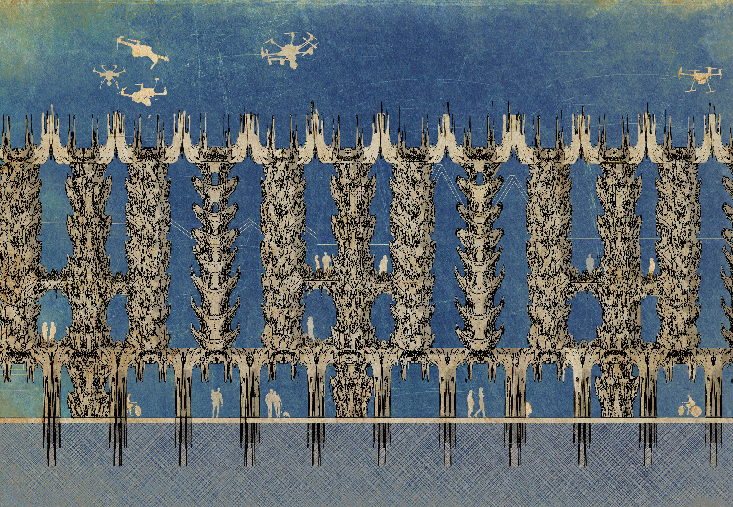 Elevation