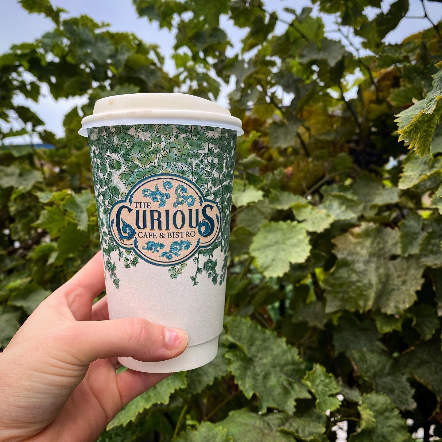 Our new takeaway cups are finally out 🍃

We are obsessed with them. @essay_studio_ has truly captured our garden into this design. We absolutely love them!!! They are also fully recyclable. 

Now time to work on 1000 other items 😂

#curiouscafechel