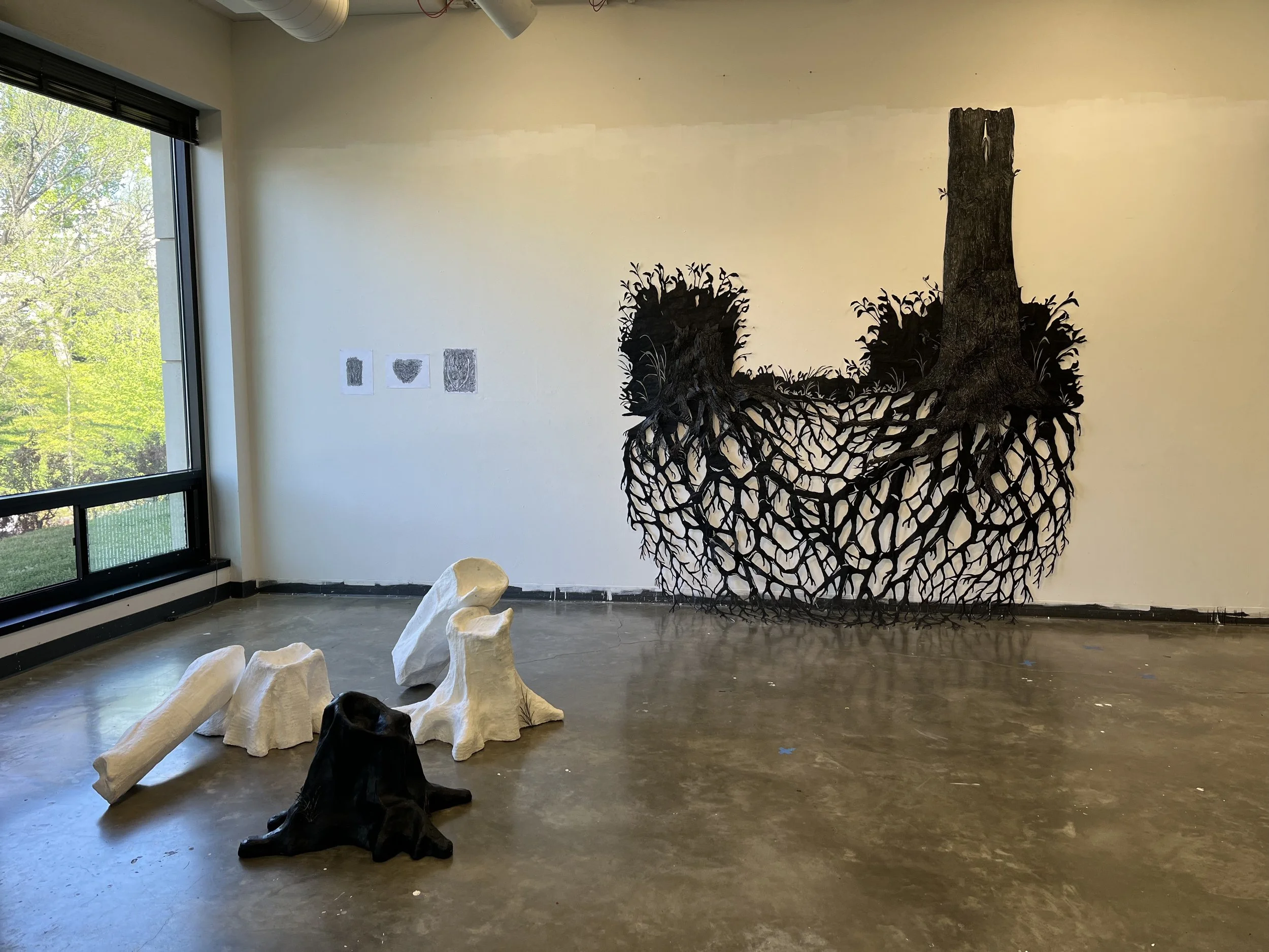 Installation of work, 2022 (back left: tree rubbings from Rock Creek Park; back right: Amy N' Dad, 2022; front: stump sculpture studies)