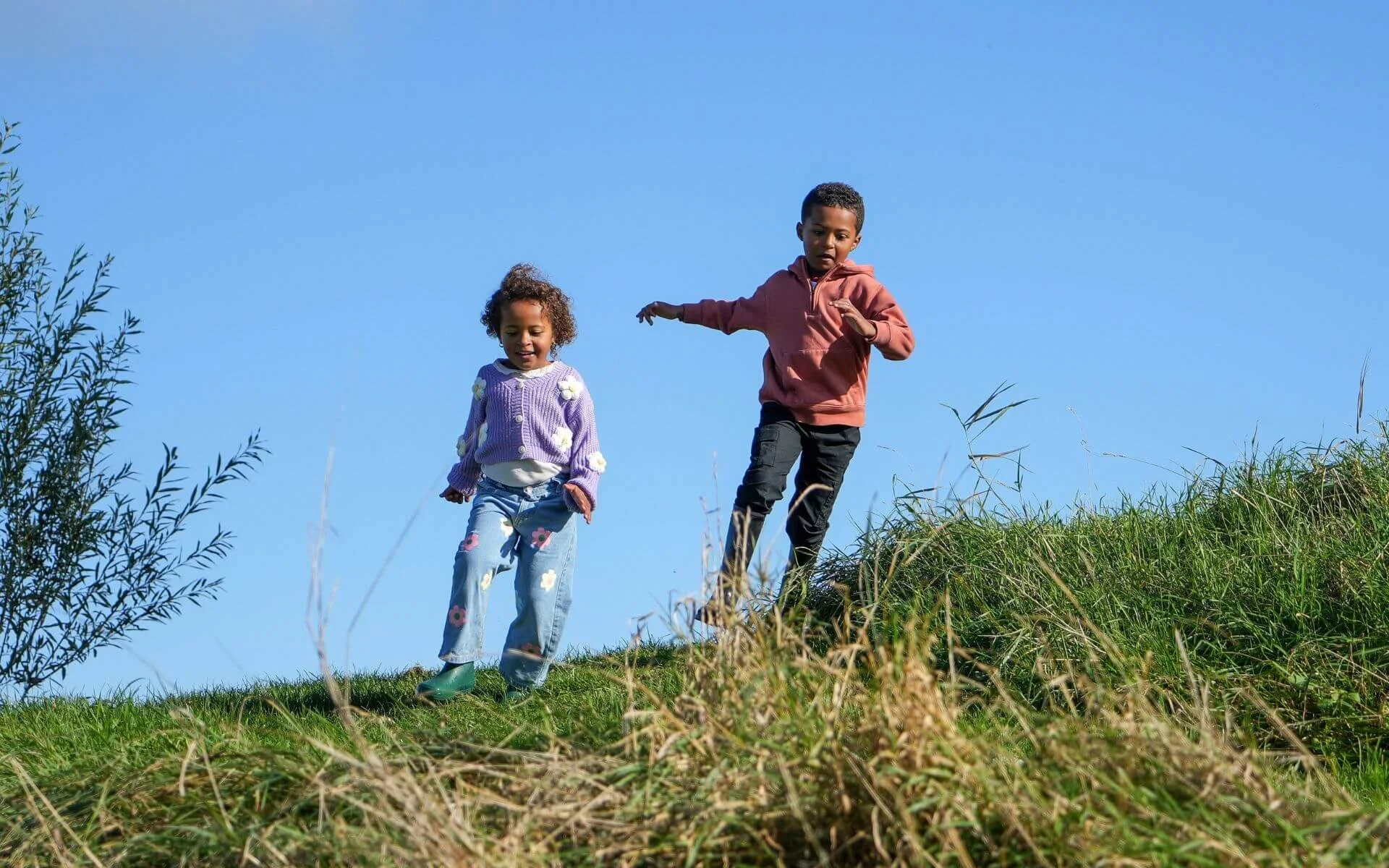 Kids go FREE in January at Hogshaw Farm and Wildlife Park