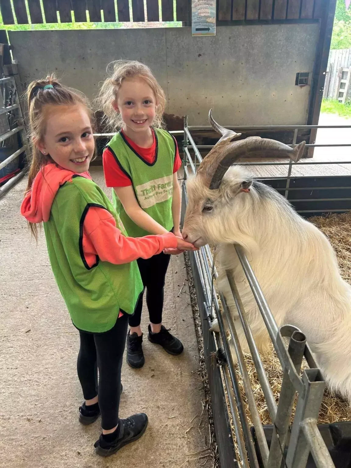 February Half-term Holiday Childcare at Thrift Farm, Whaddon