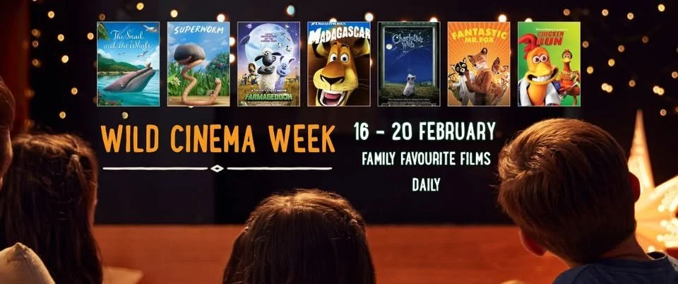 Wild Cinema Week at Hogshaw Farm & Wild Cinema Week
