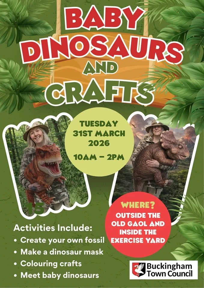 Baby Dinosaur and Crafts