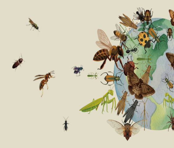 Lillingstone Lecture:The Impact of Climate Change on Insects, by Dr Richard Harrington