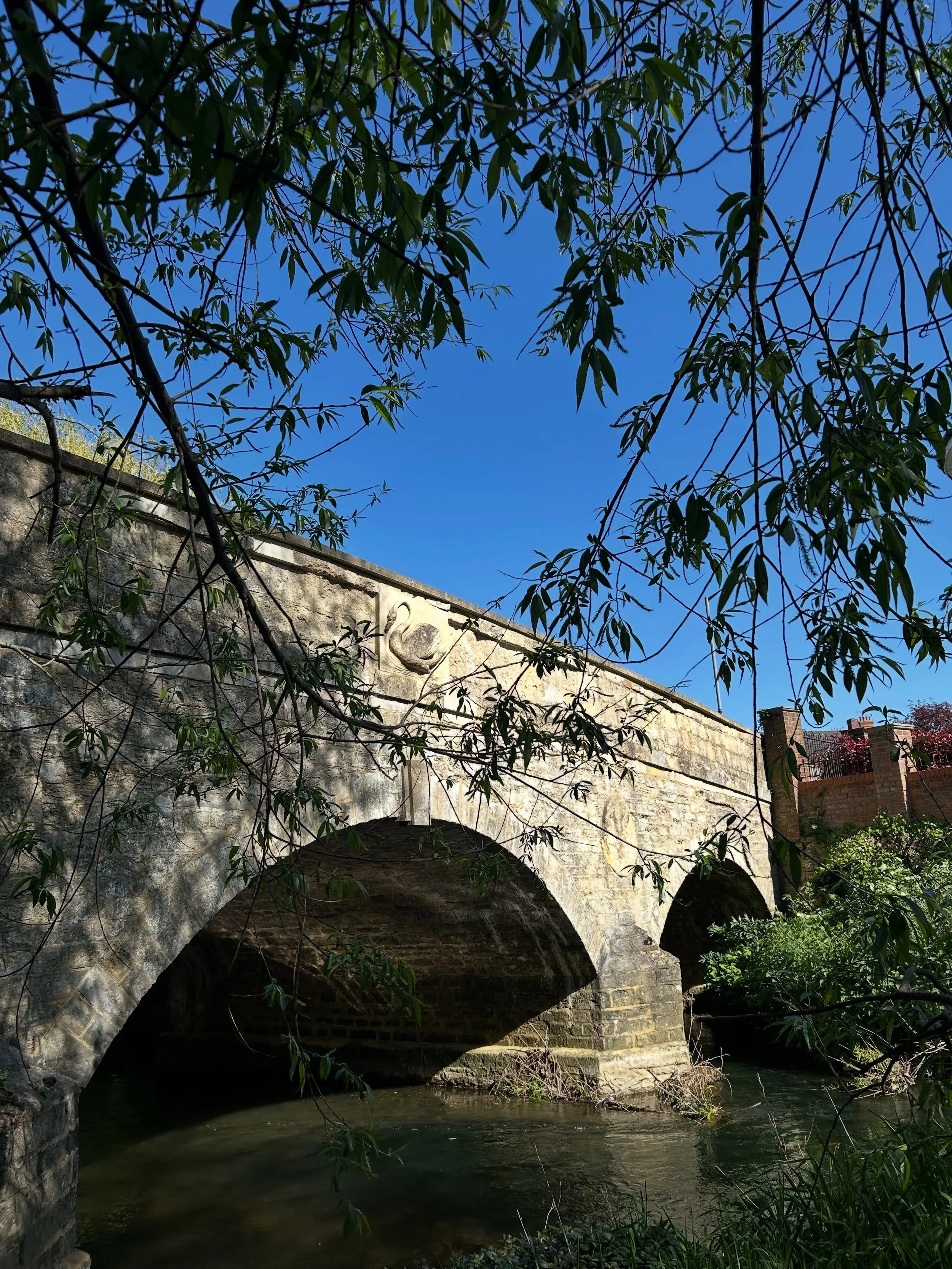 Some towns have landmarks&hellip; we have swans 🦢📍

Once you start noticing them in Buckingham, you realise they&rsquo;re everywhere, and it&rsquo;s (mostly) no coincidence. The swan has been tied to the town for centuries, long before it became th