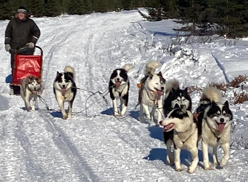 Lillingstone Lecture: &nbsp;The Arctic by Dog Sled: Survival, Culture and the Labrador Frontier, by Neil Pepper FRGS FZSL