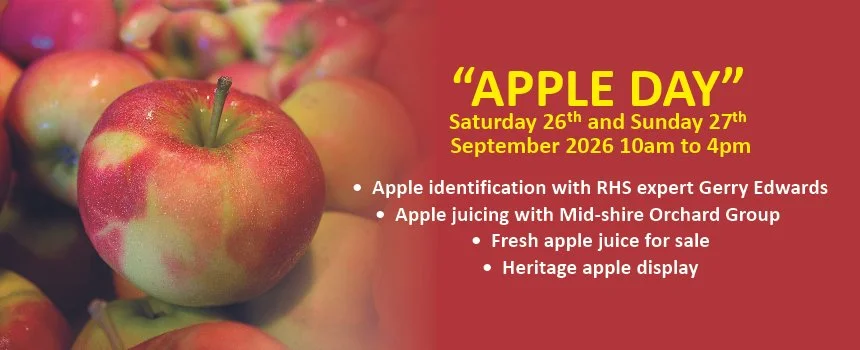 Apple Day