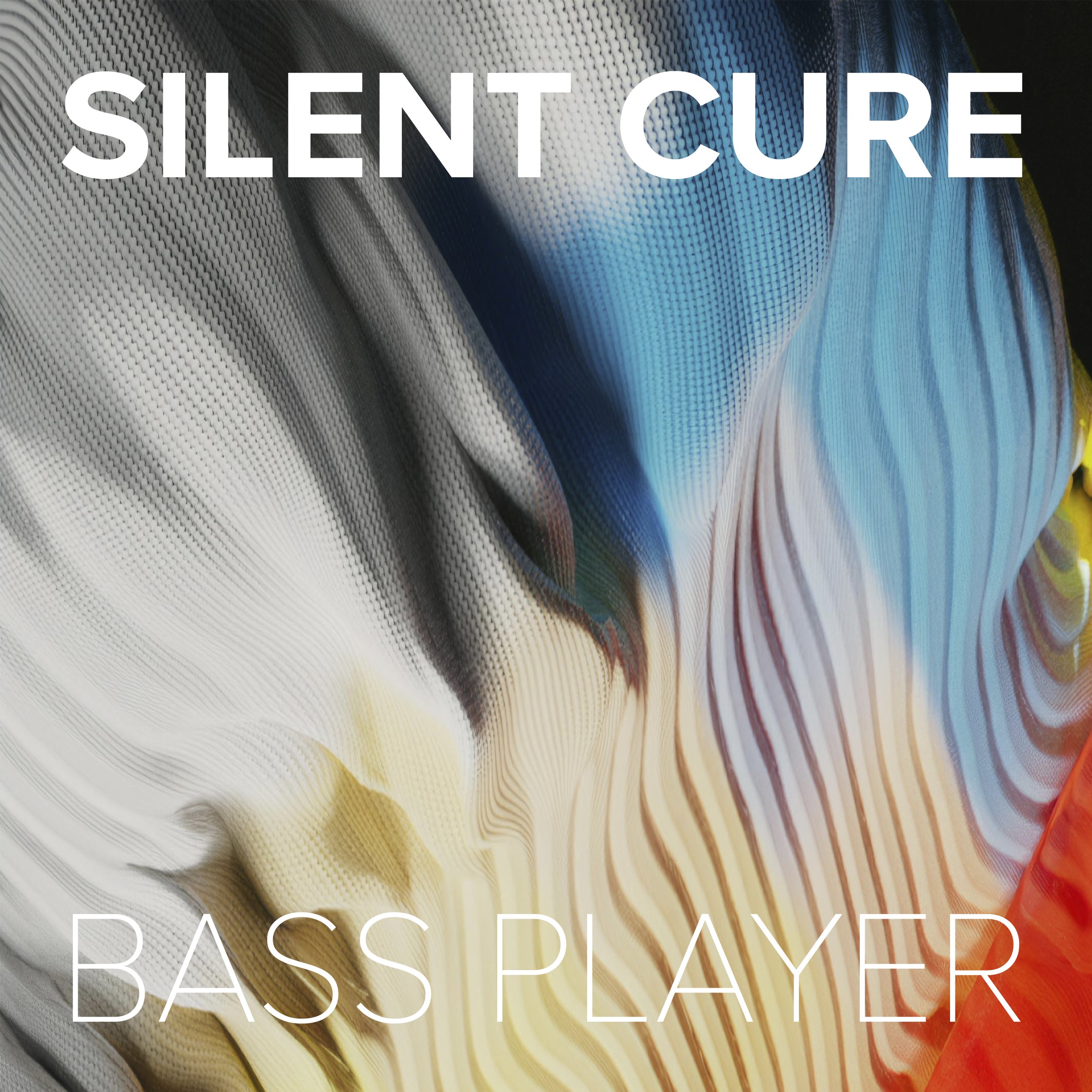 Silent Cure - Bass Player - THISBESINGLES002 - Digital