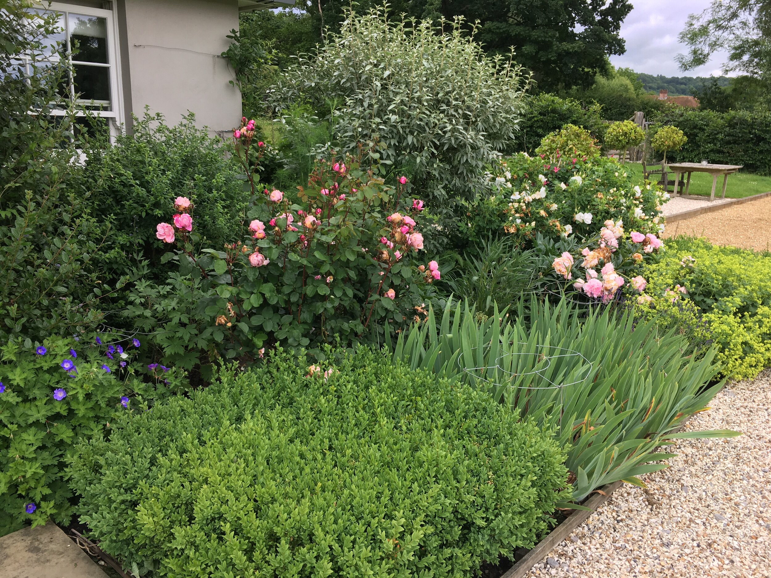 Garden in Sussex